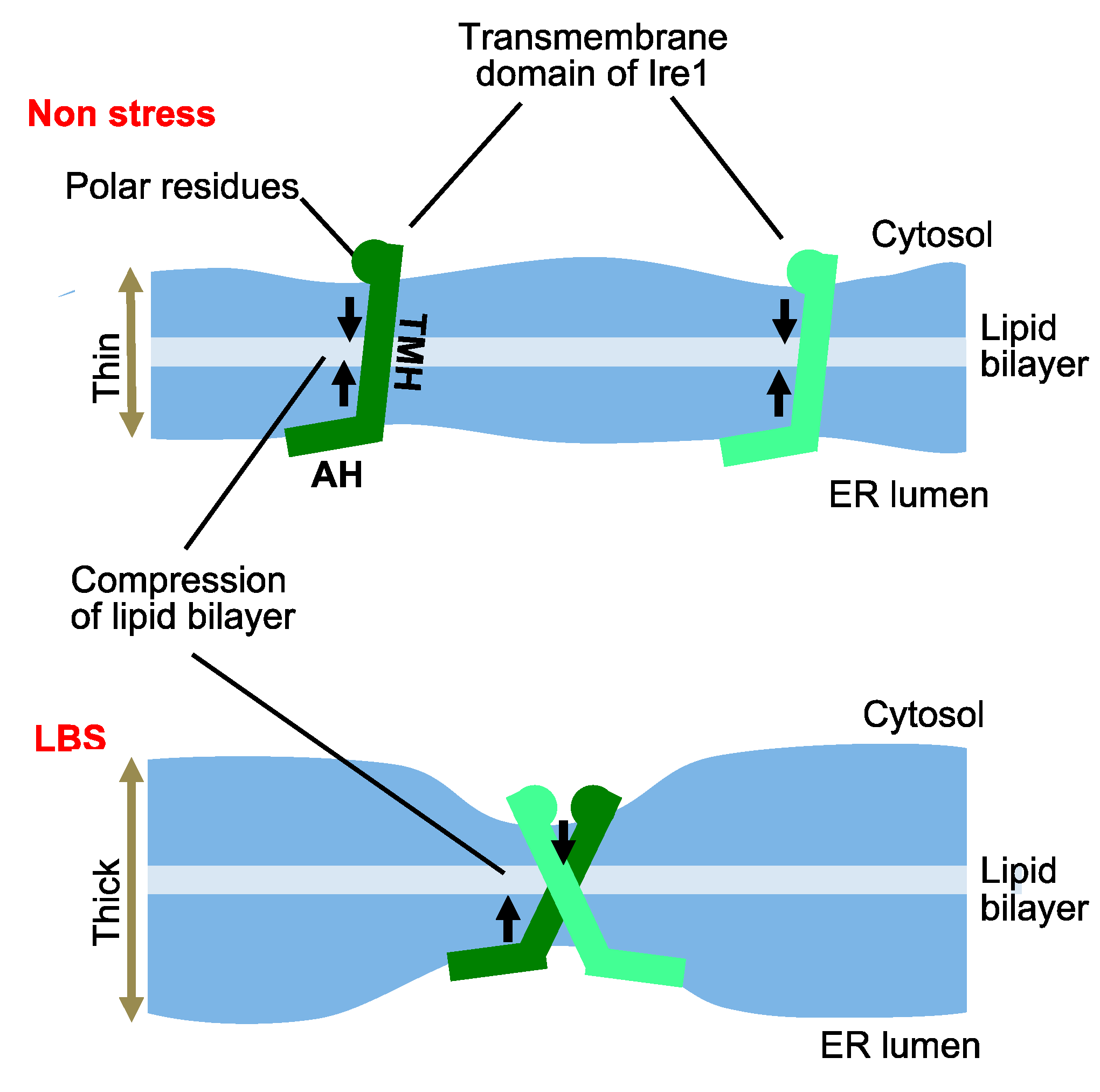 Jof 09 00989 g003 Jof 09 00989 g003