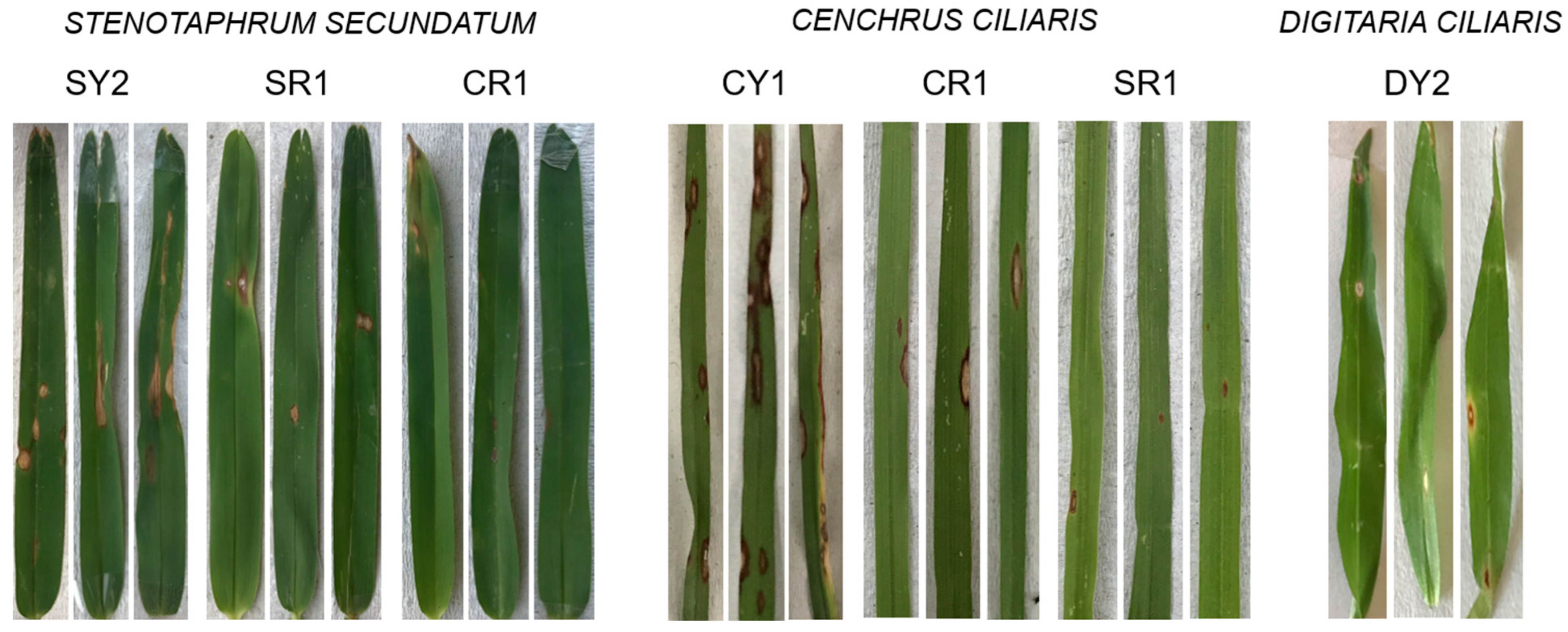 Jof 09 01055 g004 Jof 09 01055 g004
