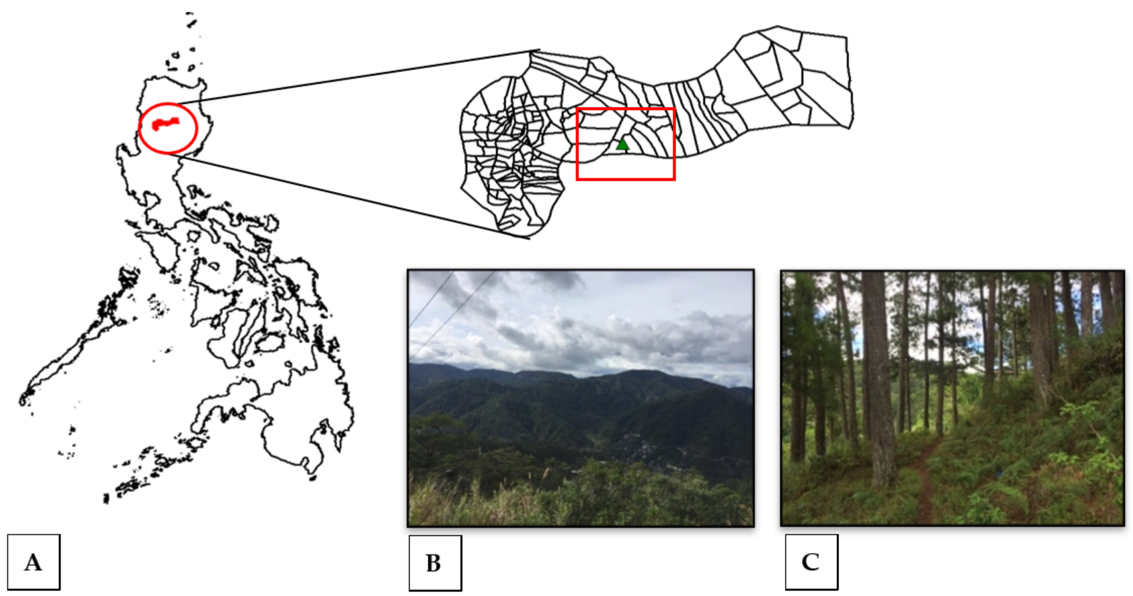 Jof 09 01117 g001 Jof 09 01117 g001