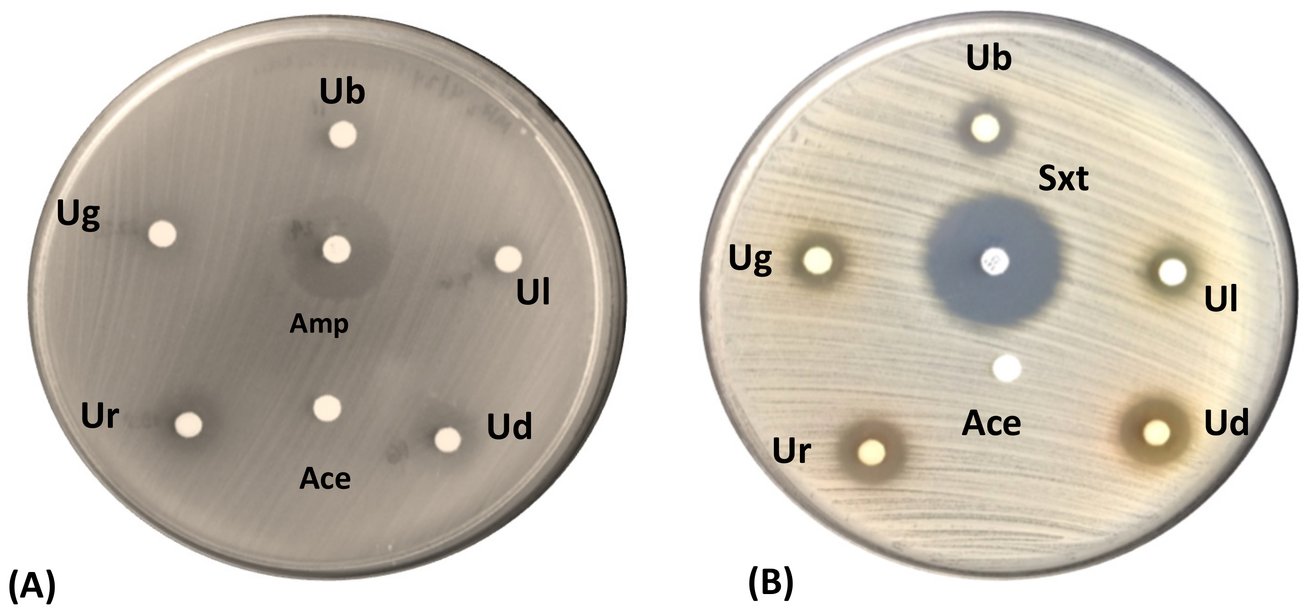 Jof 09 01117 g005 Jof 09 01117 g005