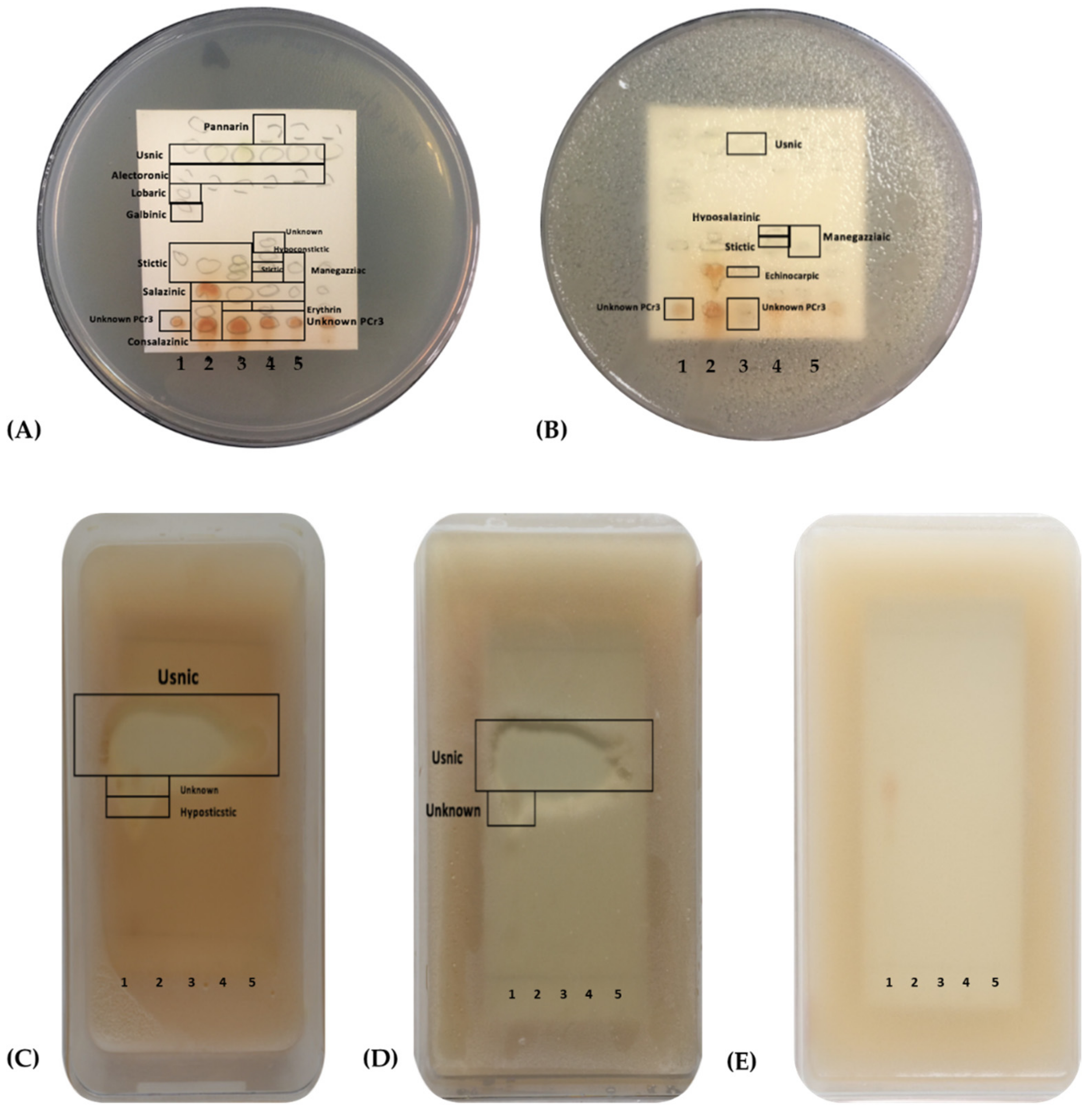 Jof 09 01117 g006 Jof 09 01117 g006