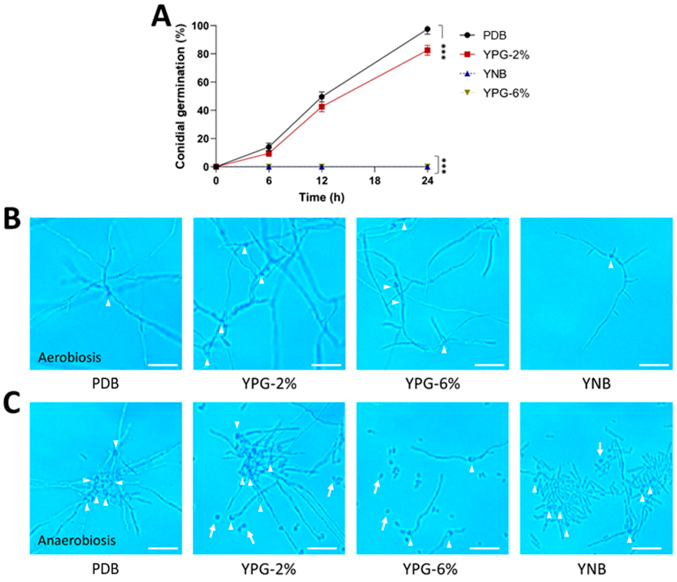 Jof 09 01135 g003 Jof 09 01135 g003