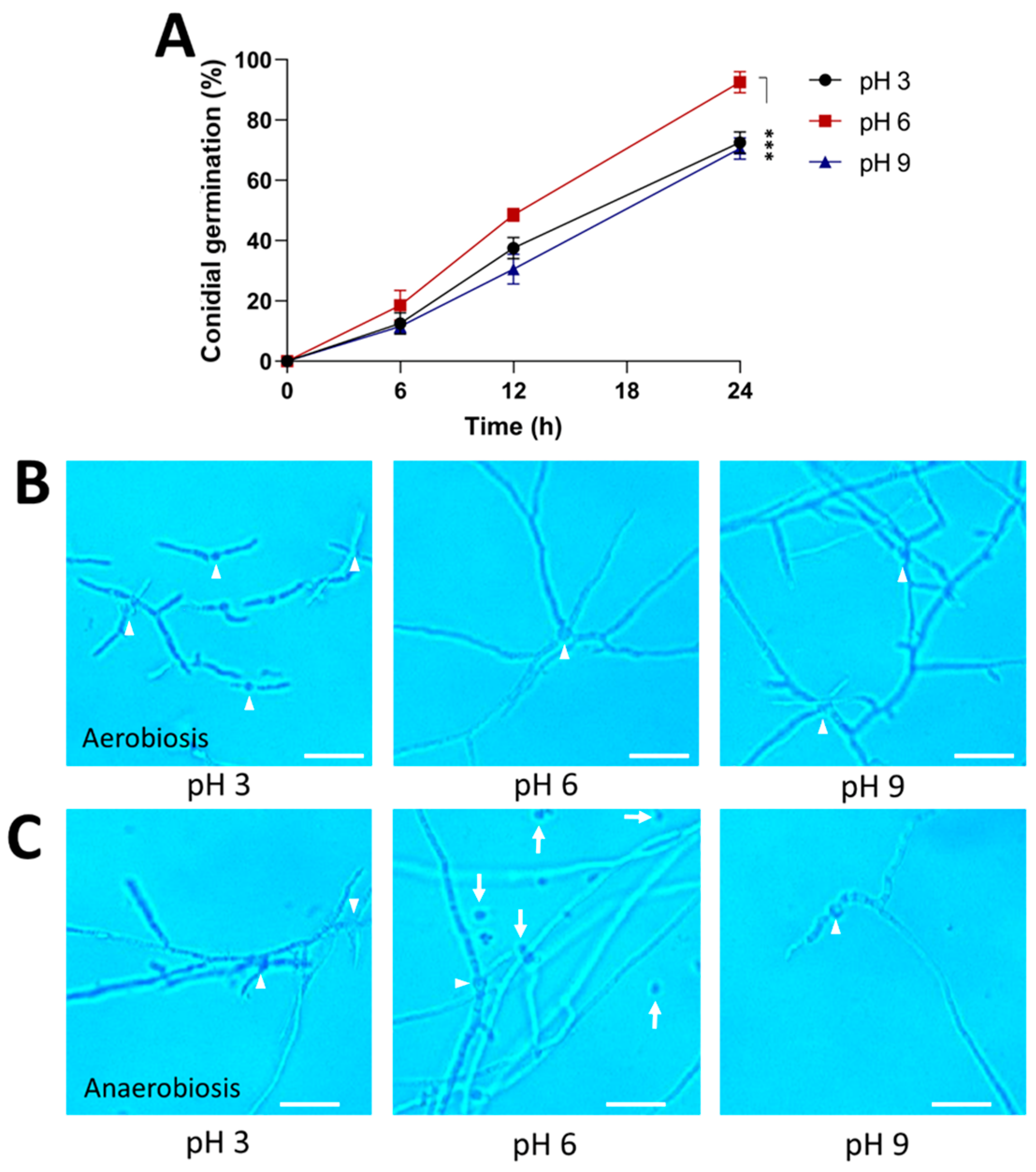 Jof 09 01135 g004 Jof 09 01135 g004