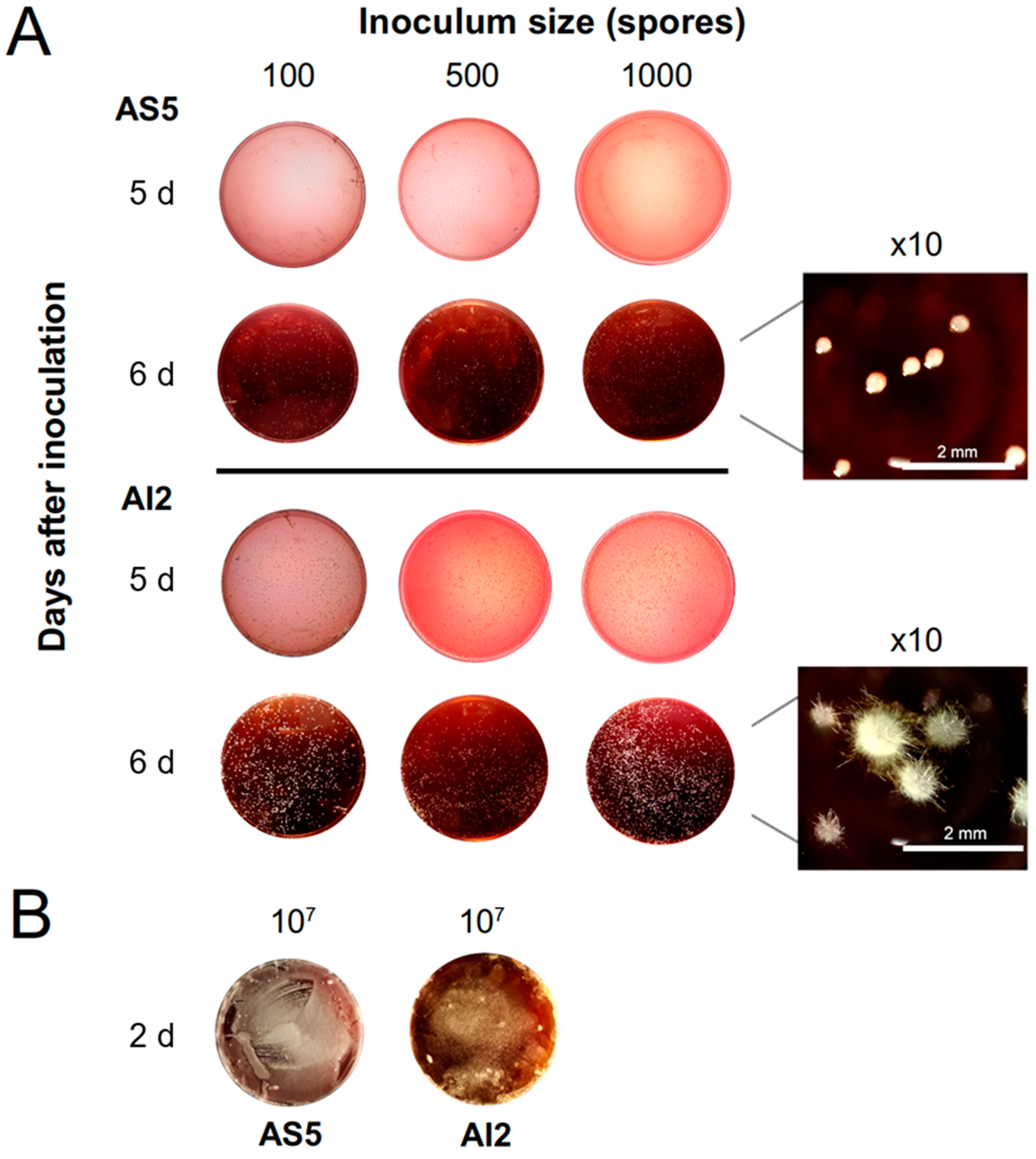 Jof 09 01135 g005 Jof 09 01135 g005
