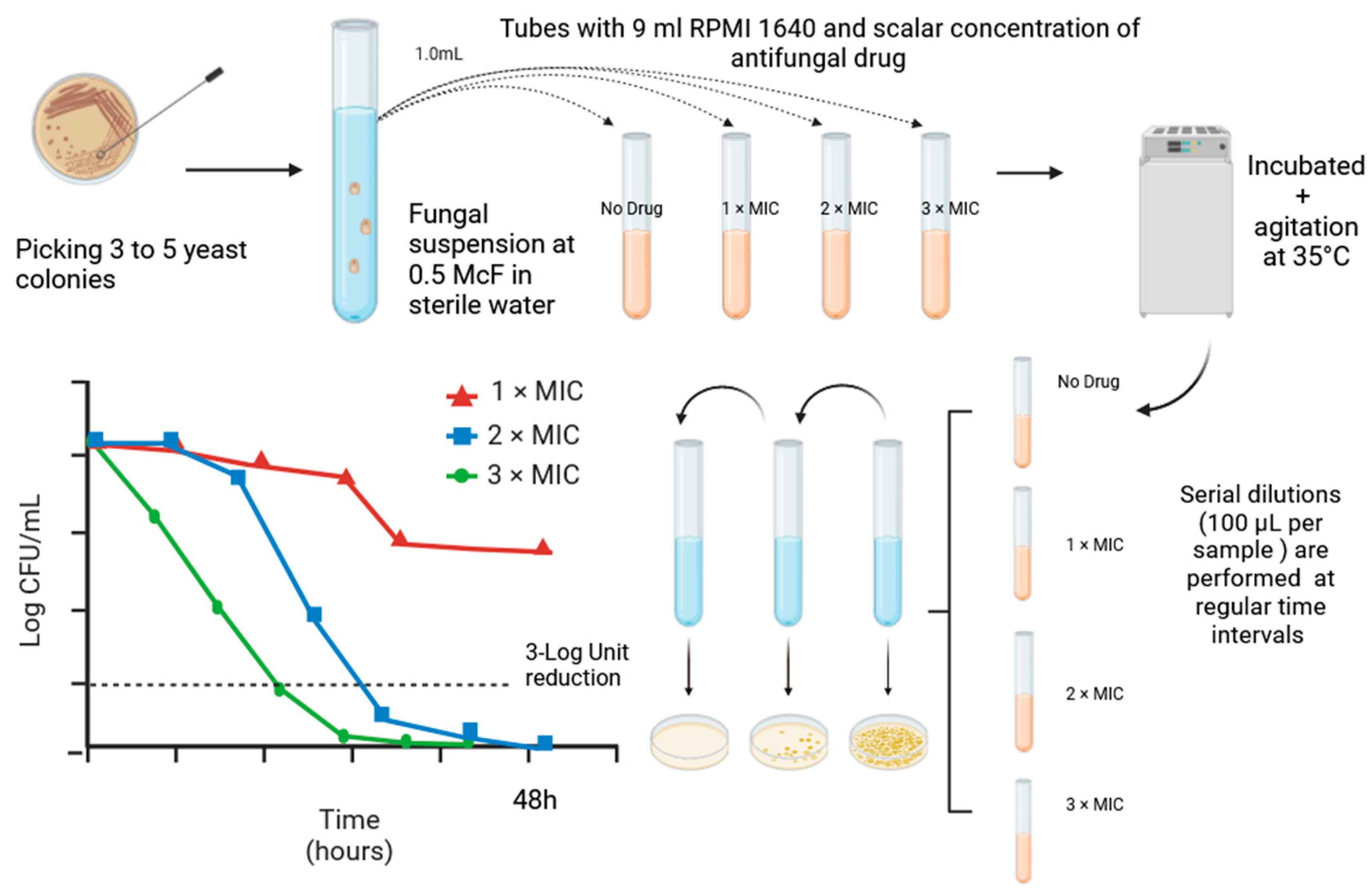 Jof 09 01188 g002 Jof 09 01188 g002