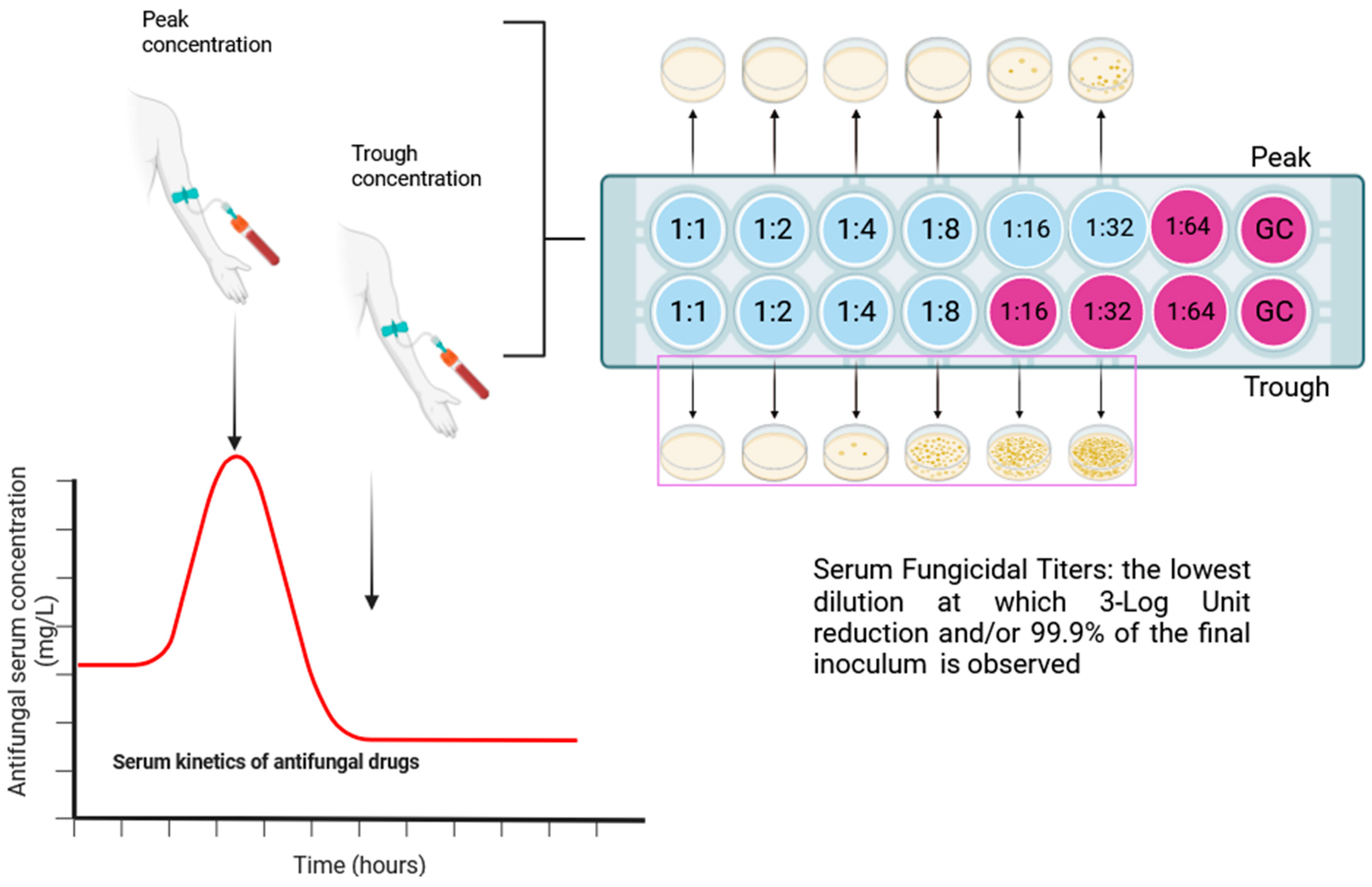 Jof 09 01188 g003 Jof 09 01188 g003