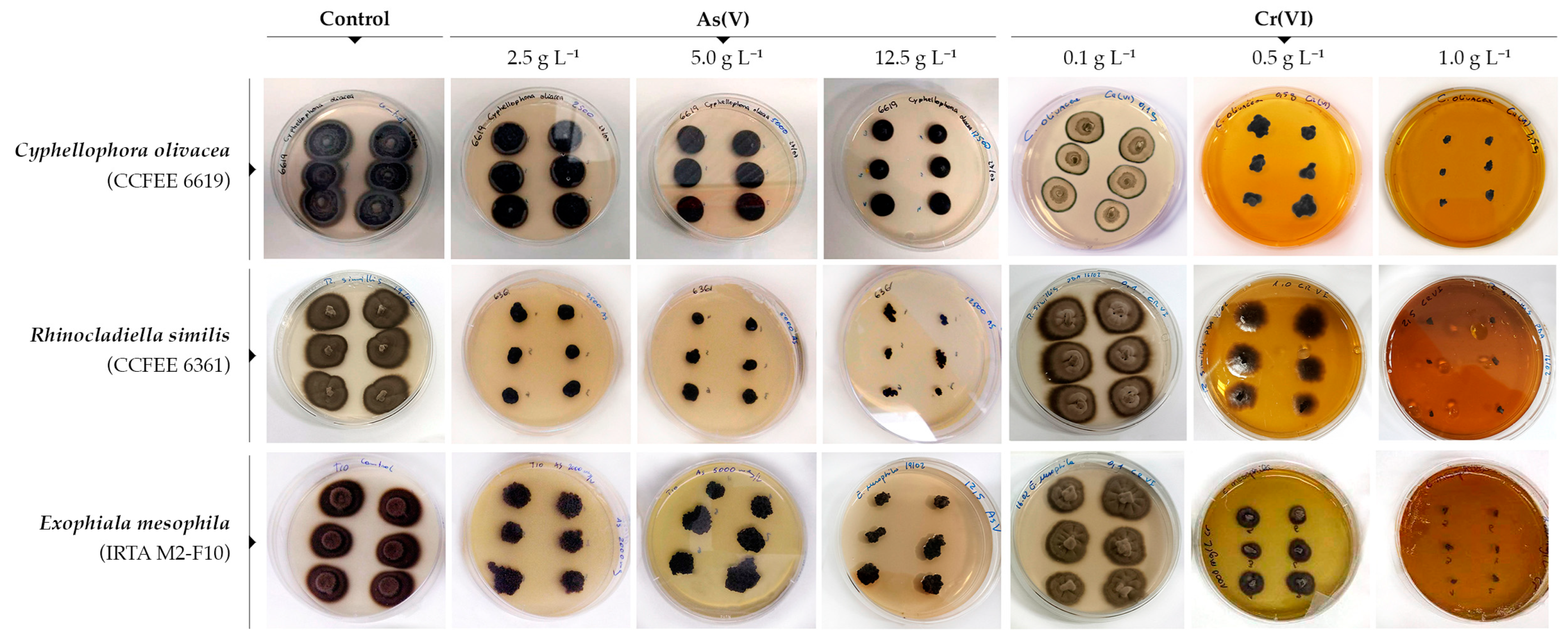Jof 10 00047 g002 Jof 10 00047 g002