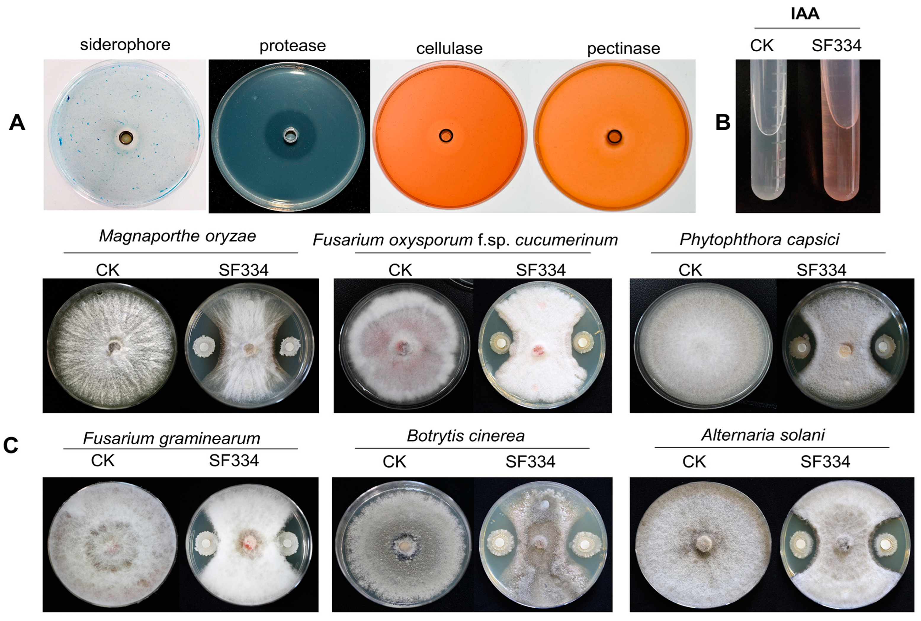 Jof 10 00158 g007 Jof 10 00158 g007