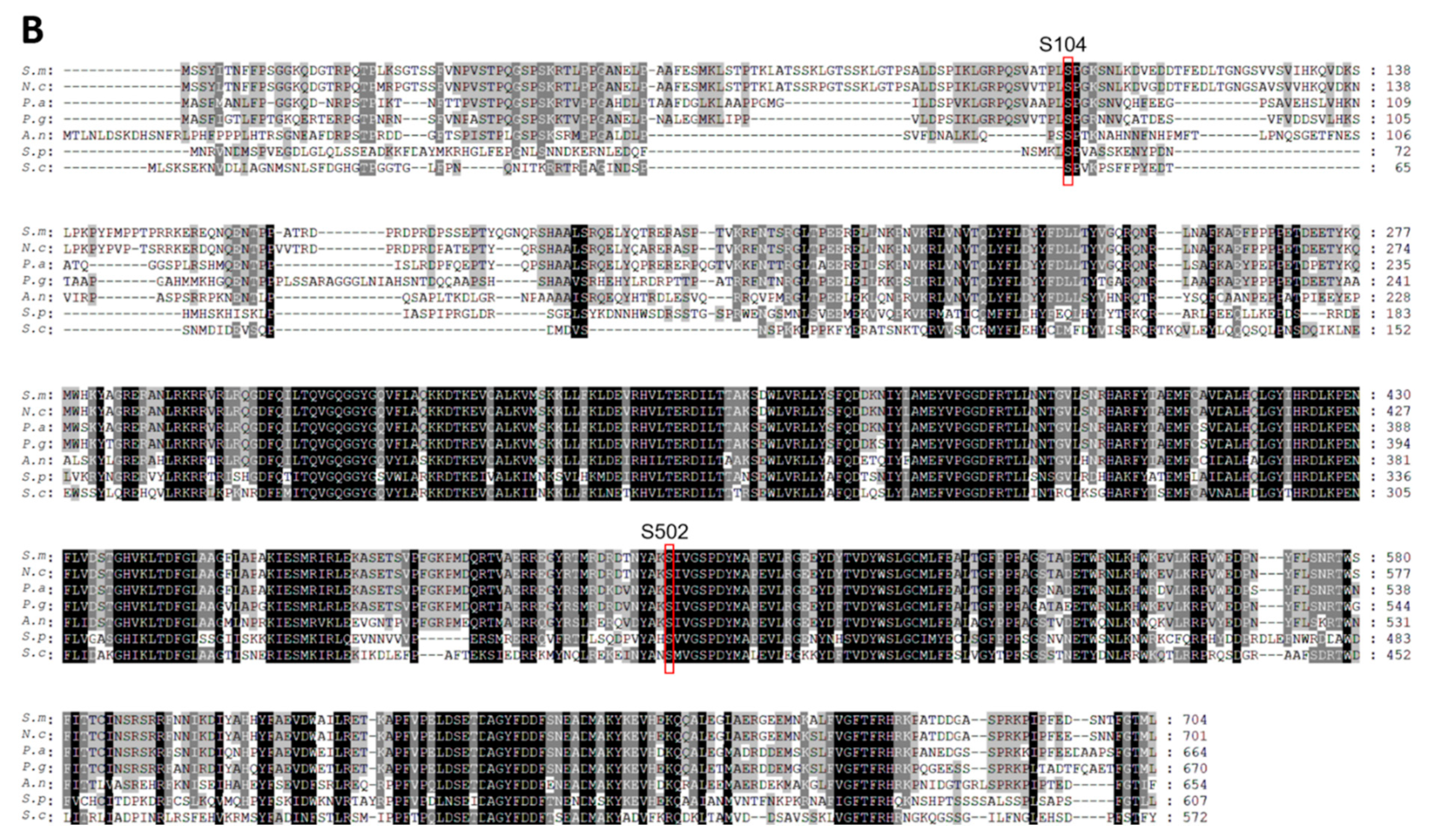 Jof 10 00177 g003b Jof 10 00177 g003b