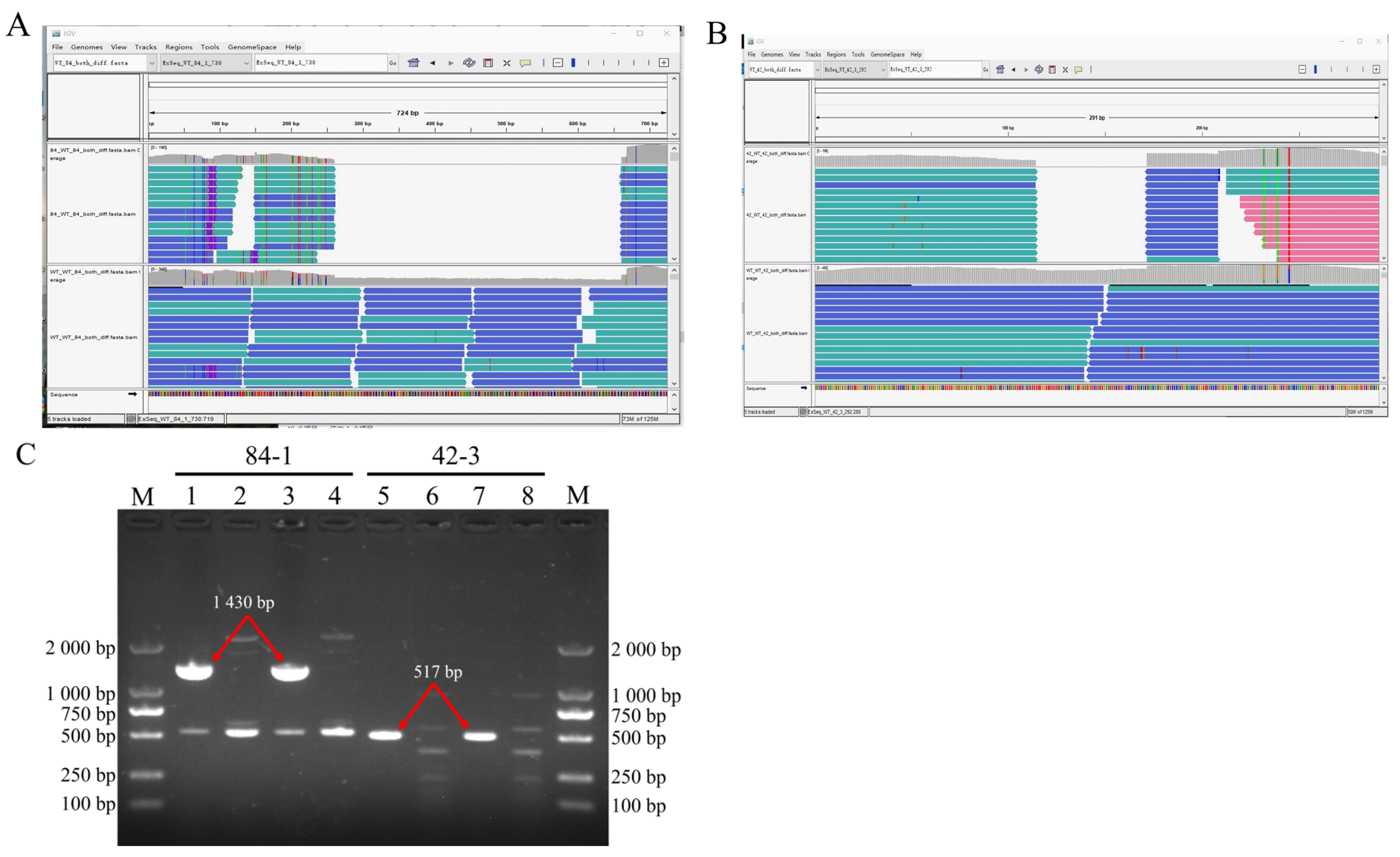 Jof 10 00228 g004 Jof 10 00228 g004