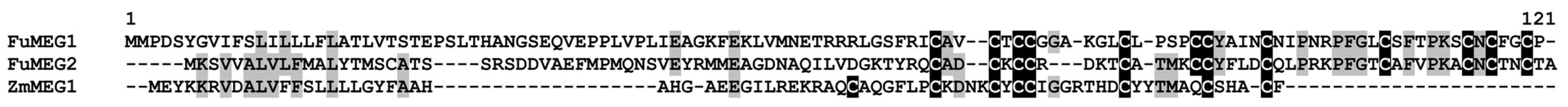 Jof 10 00258 g006 Jof 10 00258 g006
