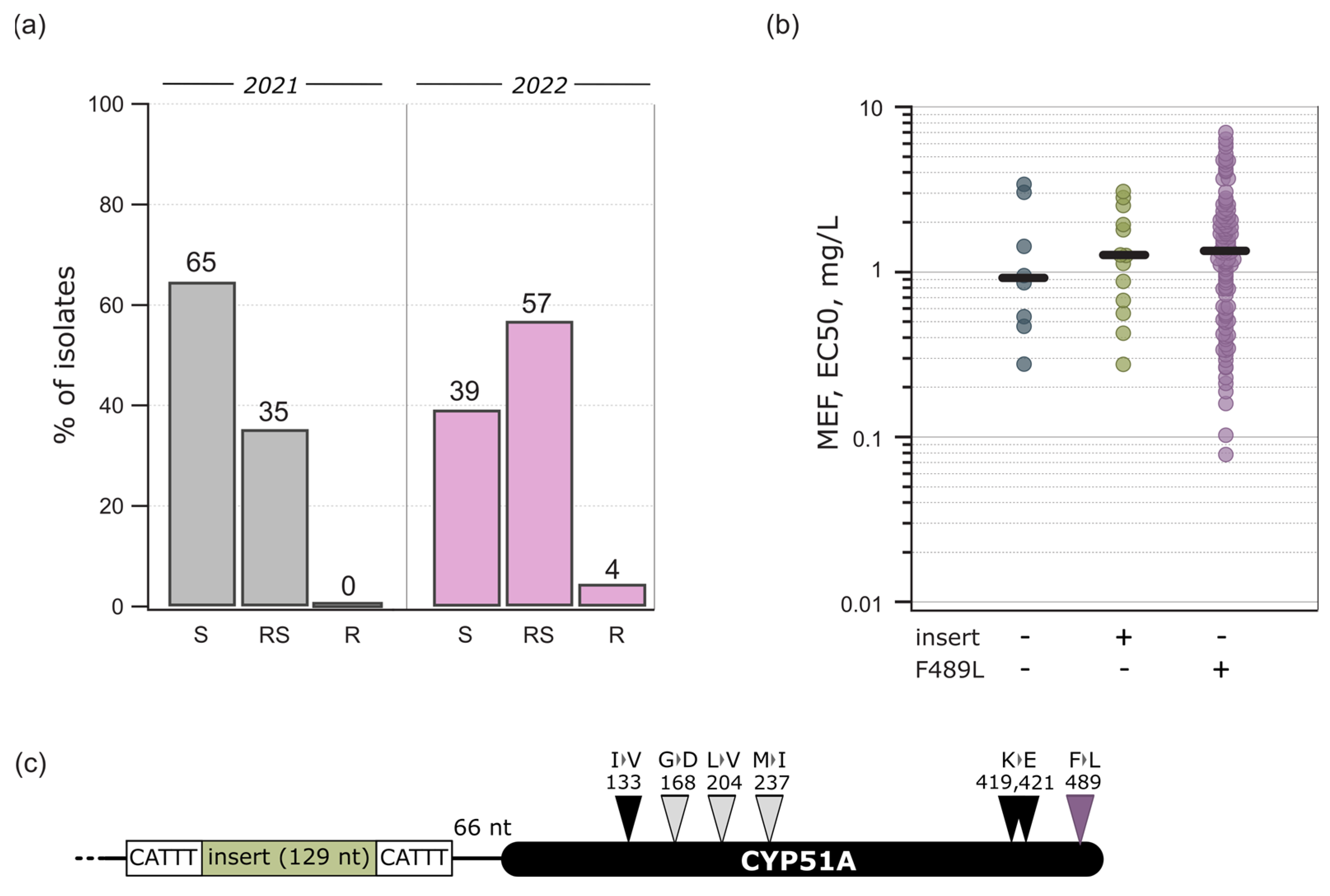 Jof 10 00260 g003 Jof 10 00260 g003