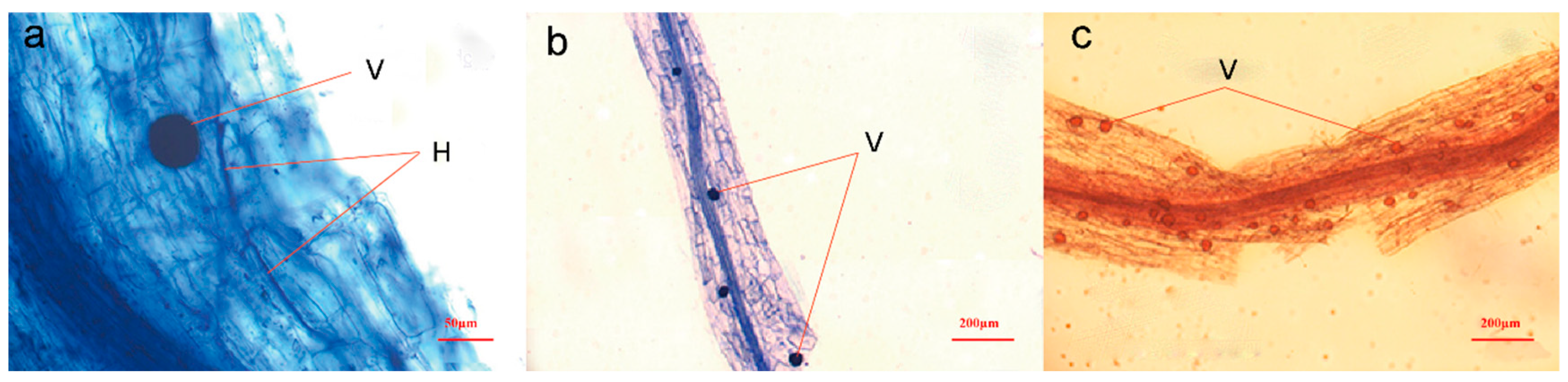 Jof 10 00286 g006