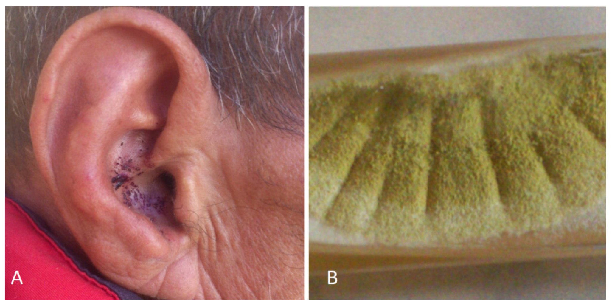 Jof 10 00295 g001 Jof 10 00295 g001