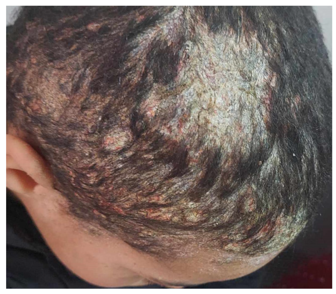 Jof 10 00295 g004 Jof 10 00295 g004