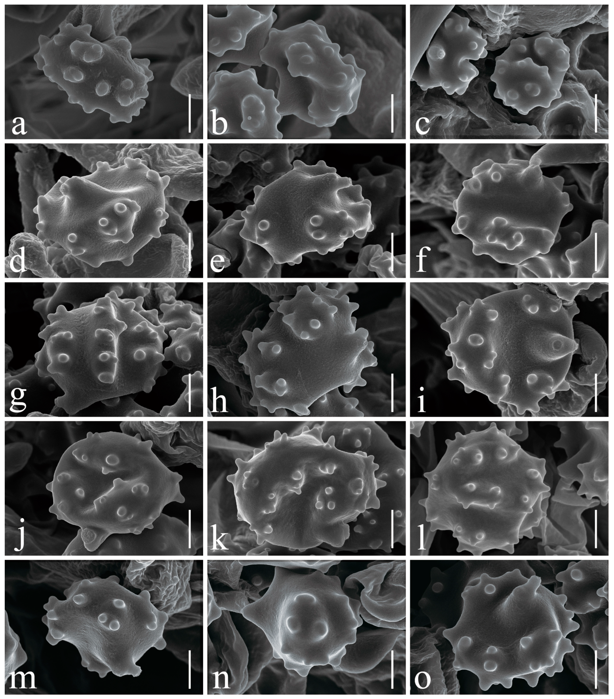 Jof 10 00300 g003 Jof 10 00300 g003