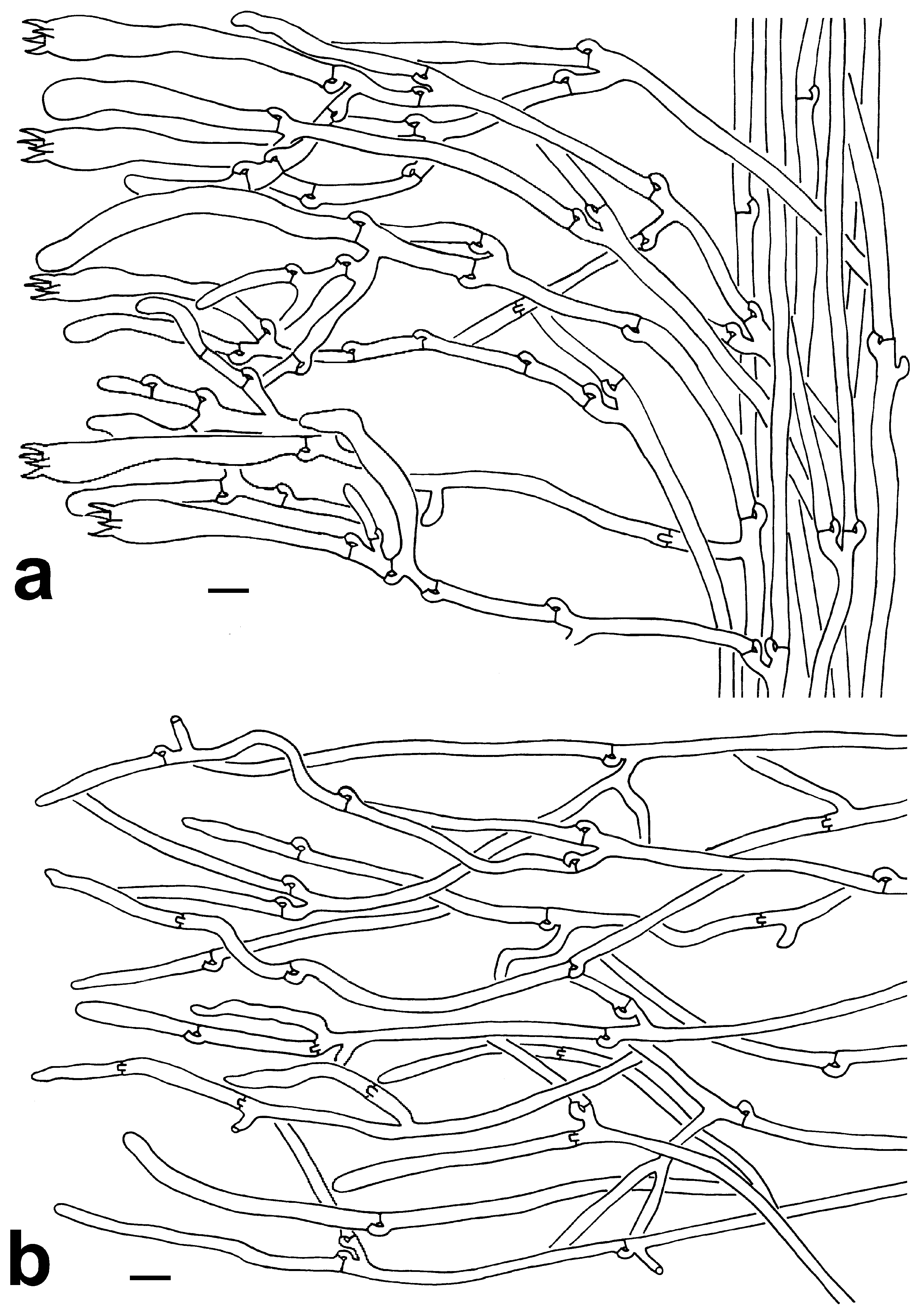 Jof 10 00300 g004 Jof 10 00300 g004