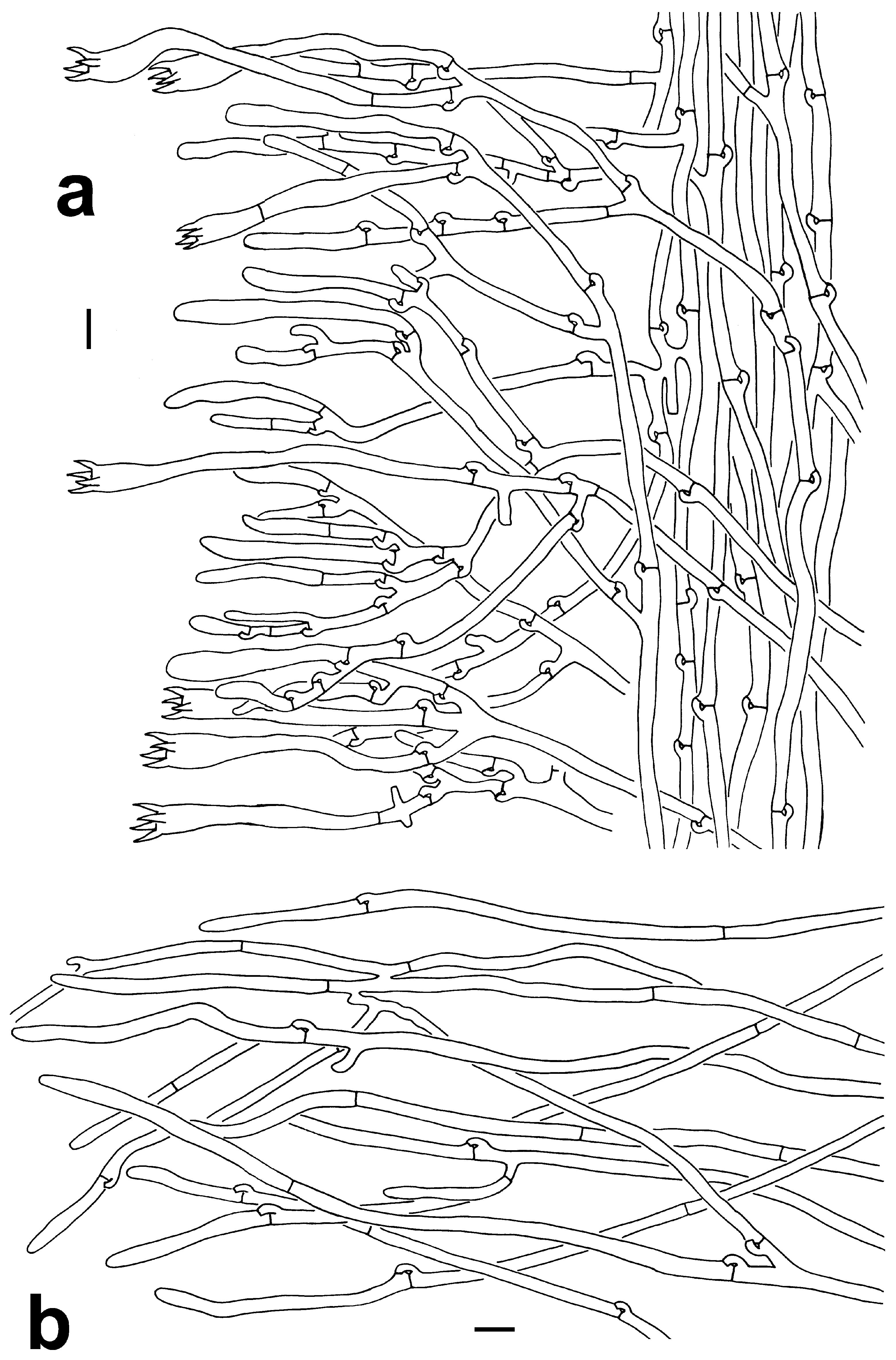 Jof 10 00300 g005 Jof 10 00300 g005