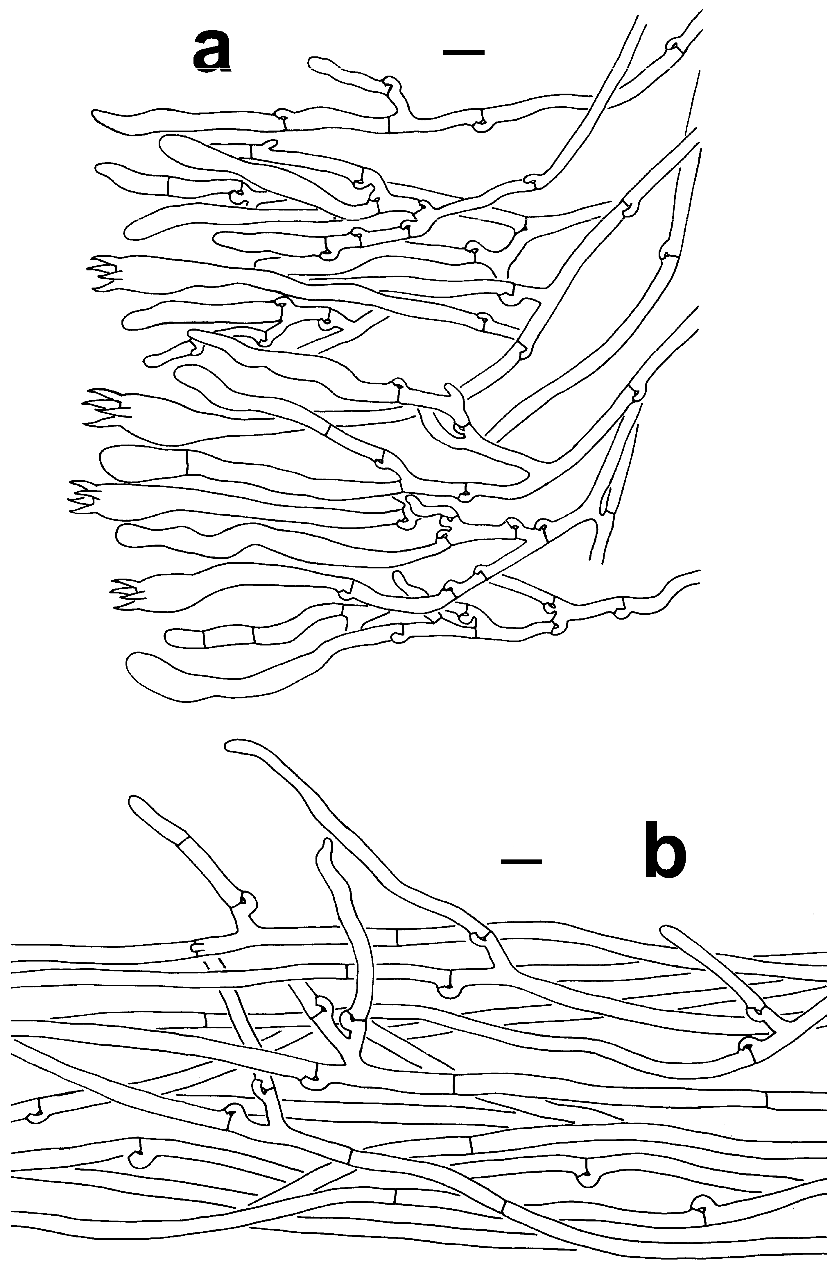 Jof 10 00300 g006 Jof 10 00300 g006