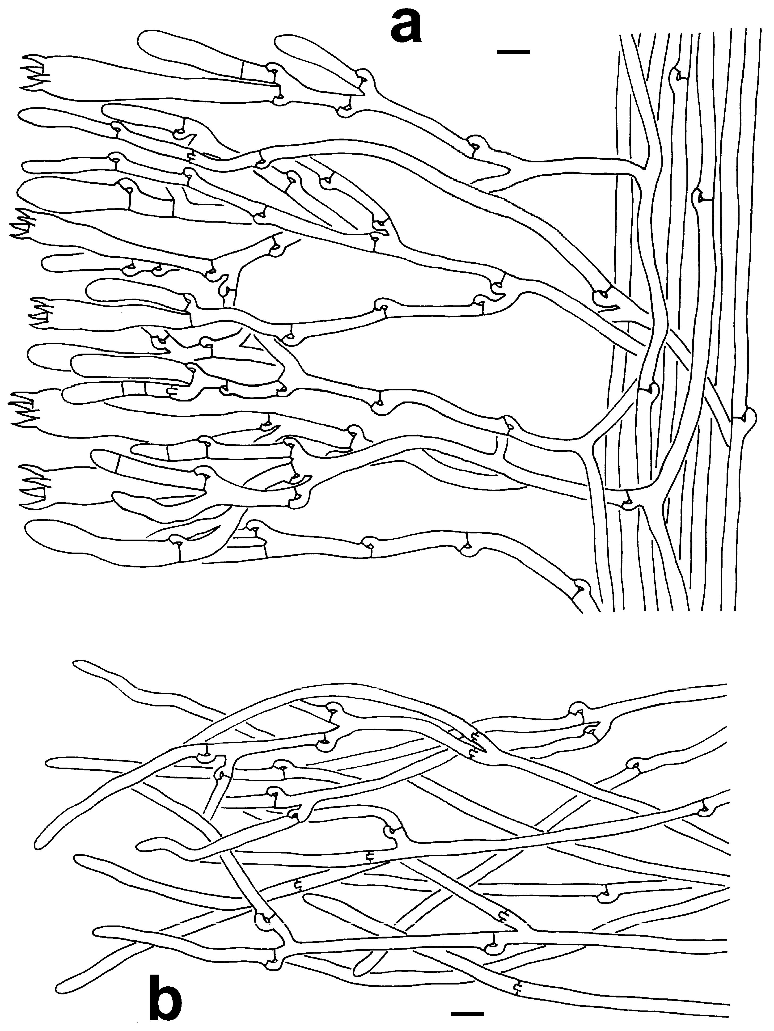 Jof 10 00300 g007 Jof 10 00300 g007