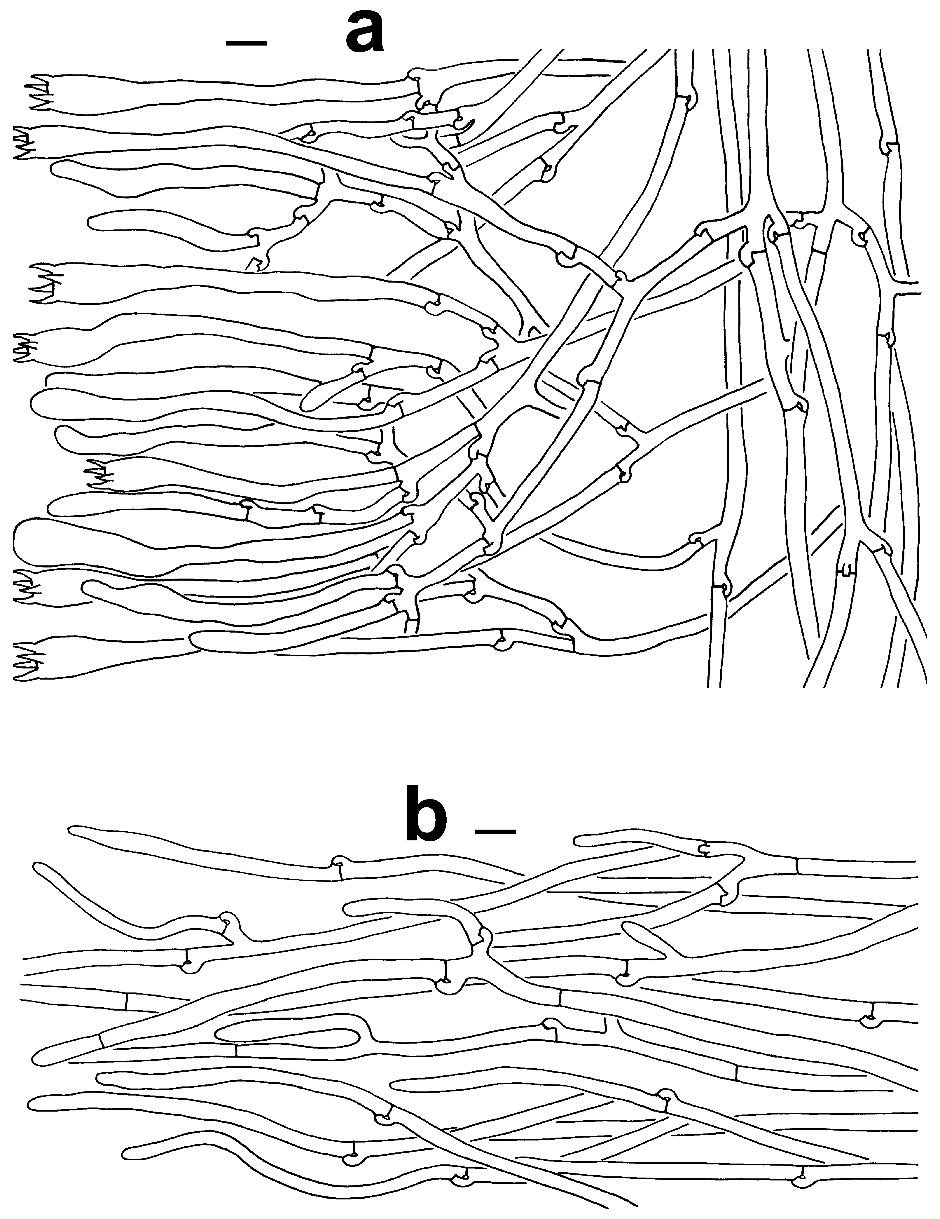 Jof 10 00300 g008 Jof 10 00300 g008