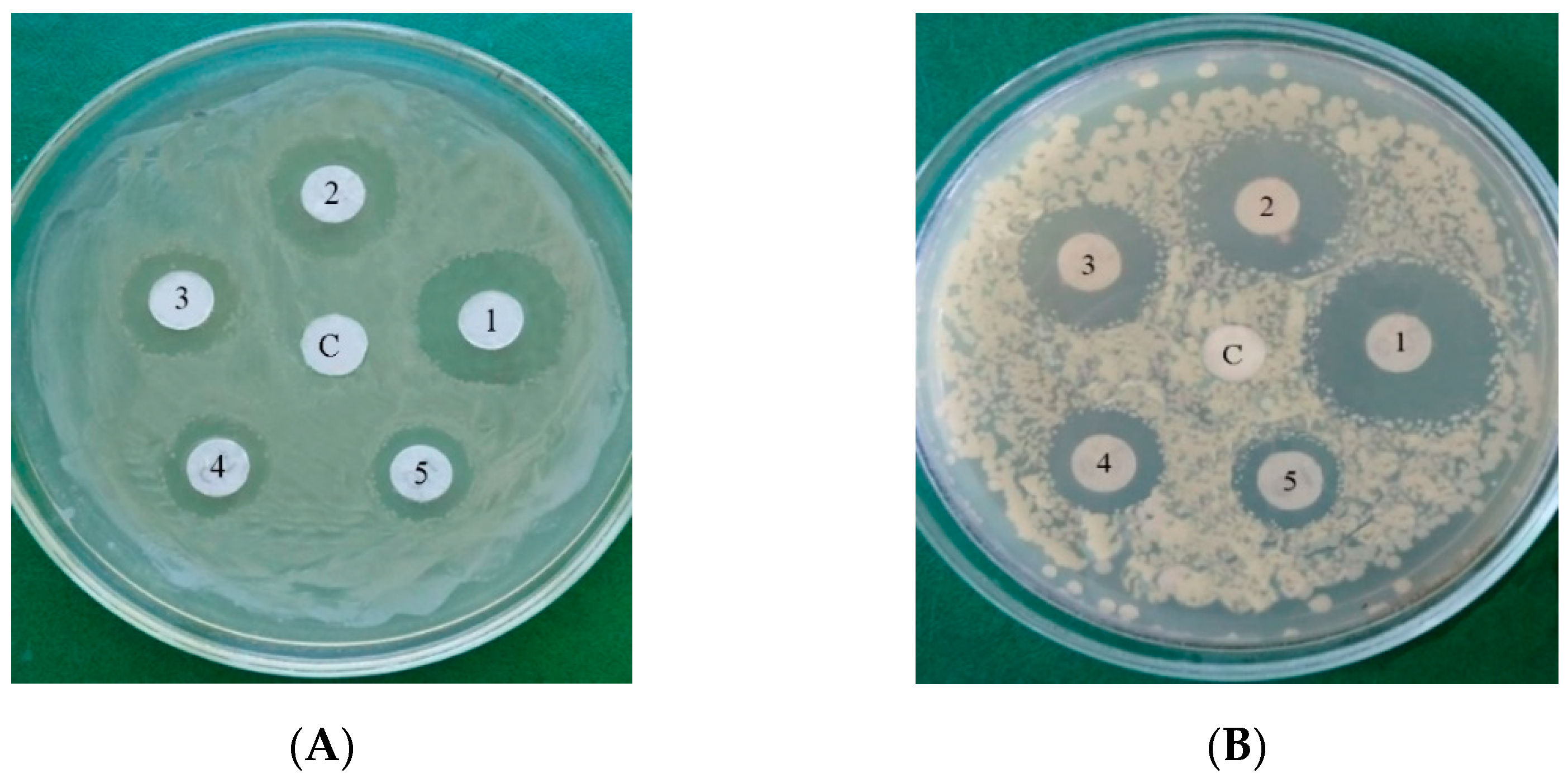 Jof 10 00323 g003 Jof 10 00323 g003