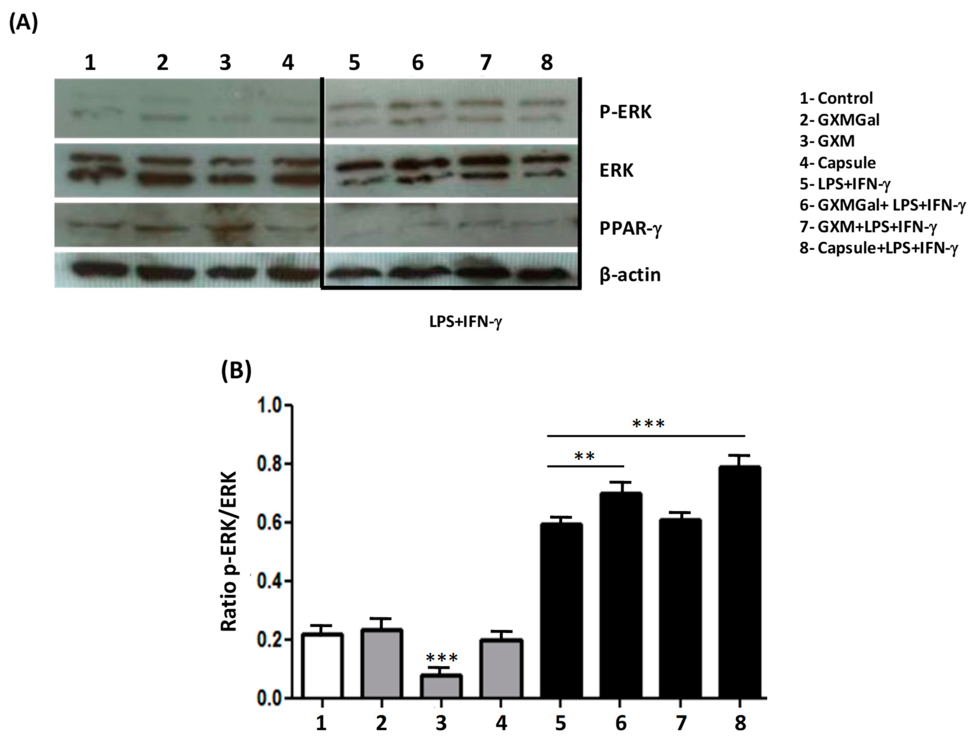 Jof 10 00339 g007a Jof 10 00339 g007a