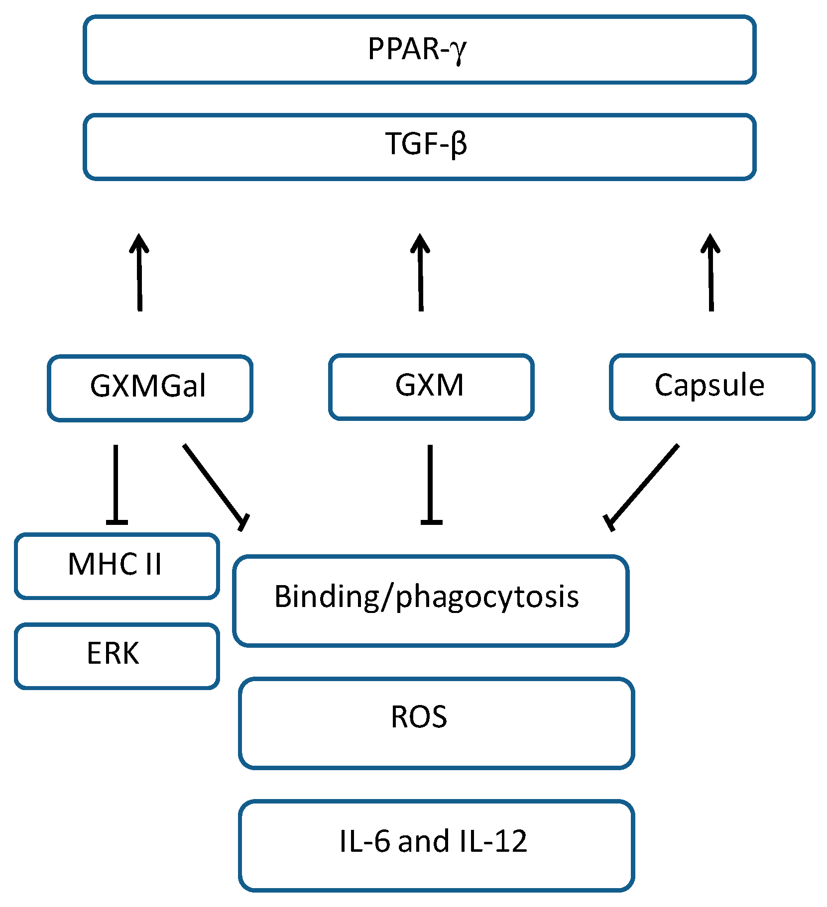 Jof 10 00339 g008 Jof 10 00339 g008