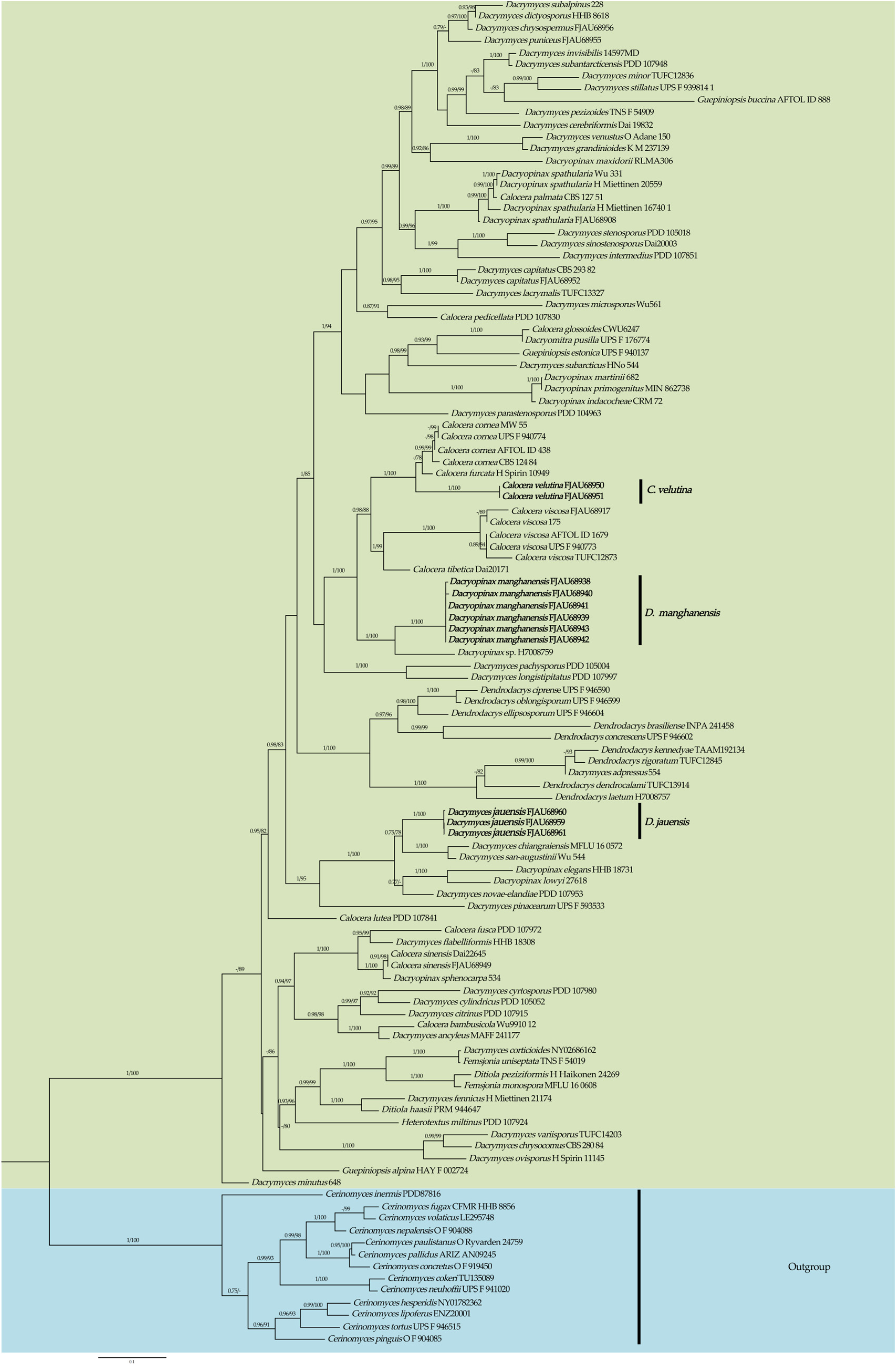 Jof 10 00480 g002 Jof 10 00480 g002