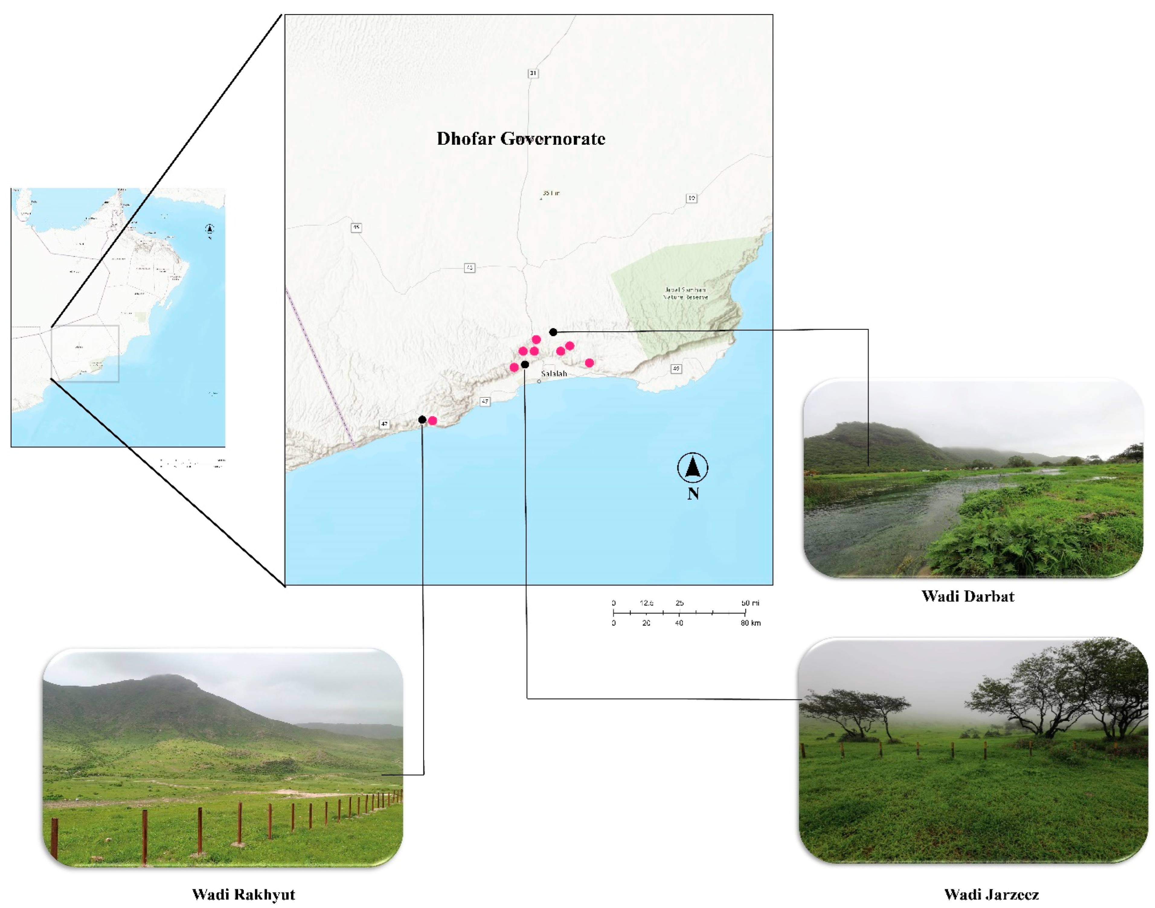 Jof 10 00625 g001 Jof 10 00625 g001