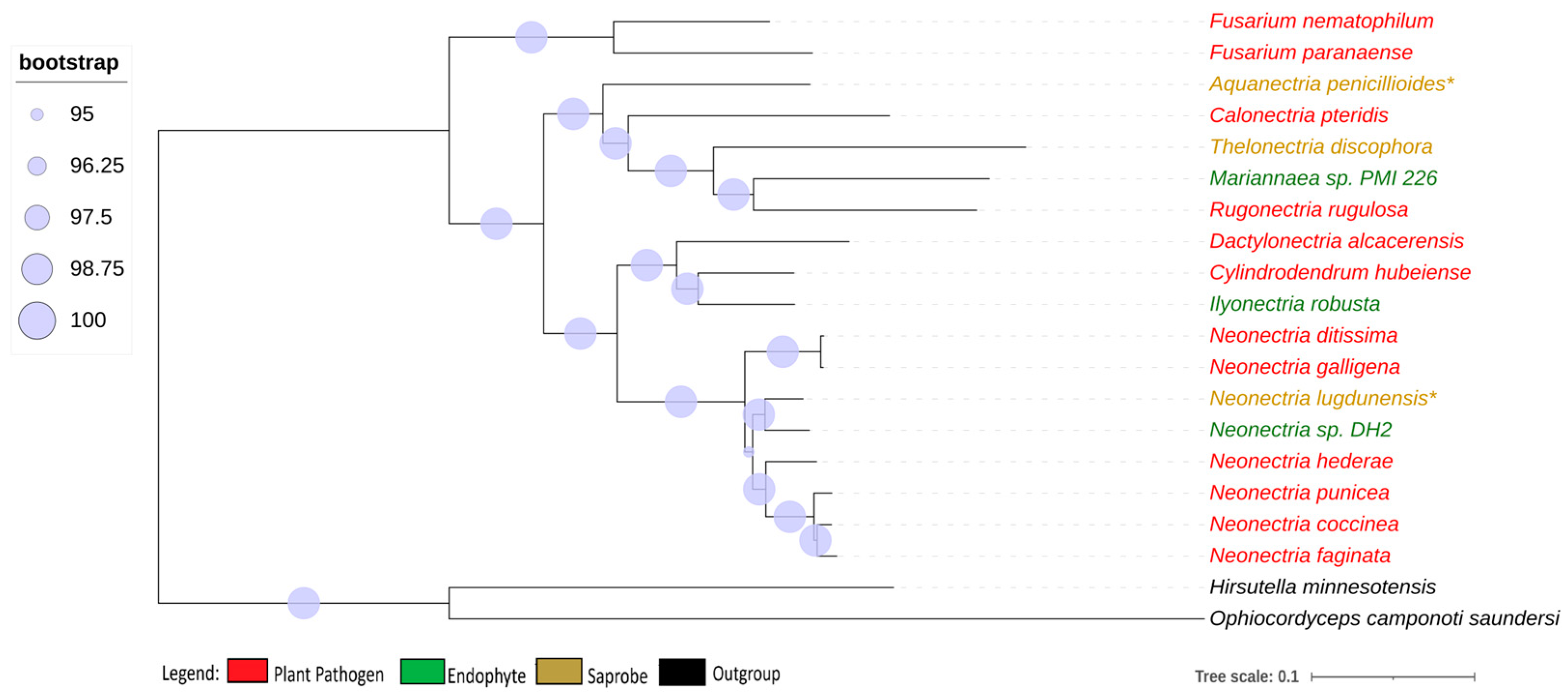 Jof 10 00632 g001 Jof 10 00632 g001