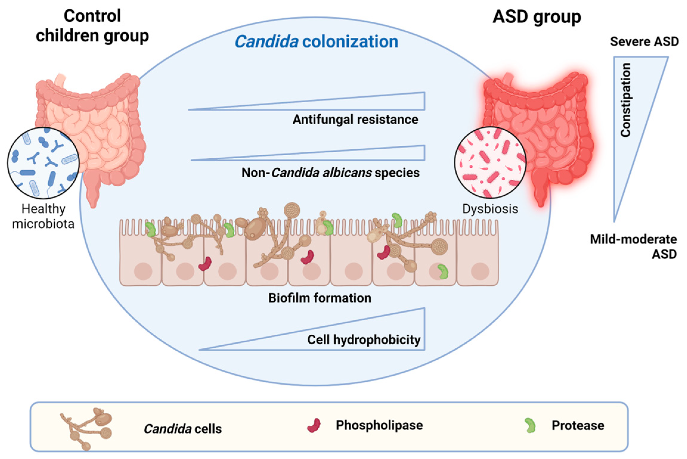 Jof 10 00730 g004 Jof 10 00730 g004