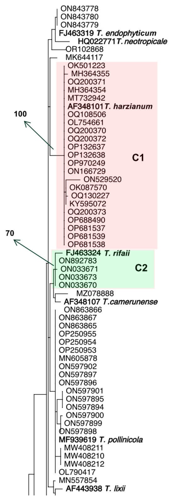 Jof 10 00813 g001a