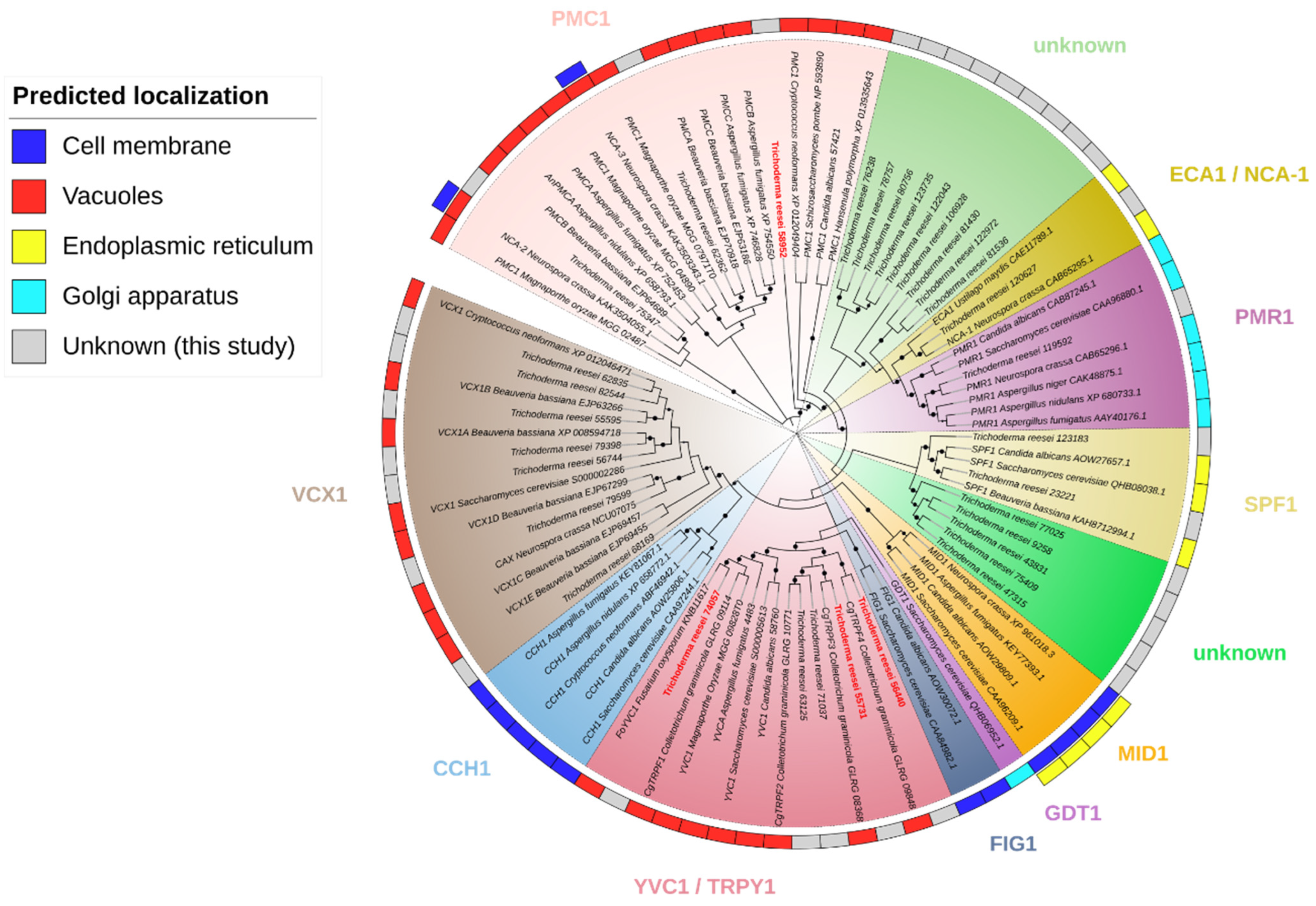 Jof 10 00853 g001 Jof 10 00853 g001