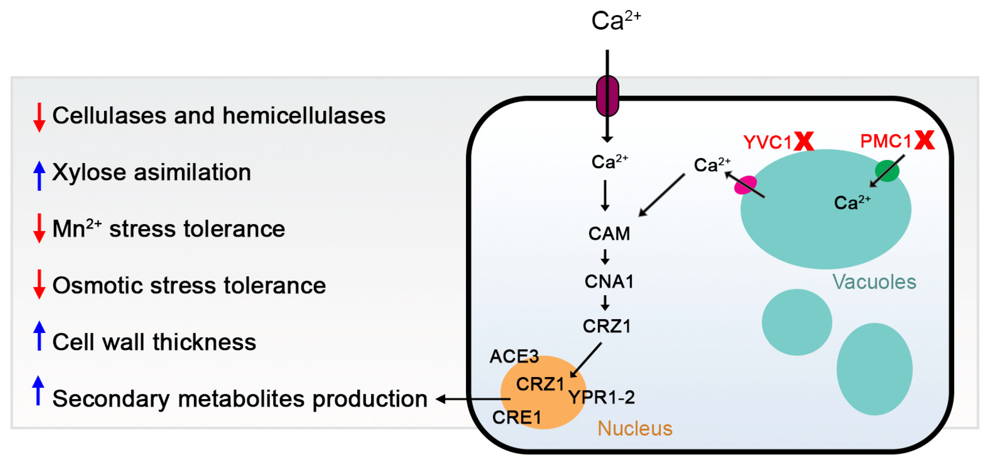 Jof 10 00853 g011 Jof 10 00853 g011