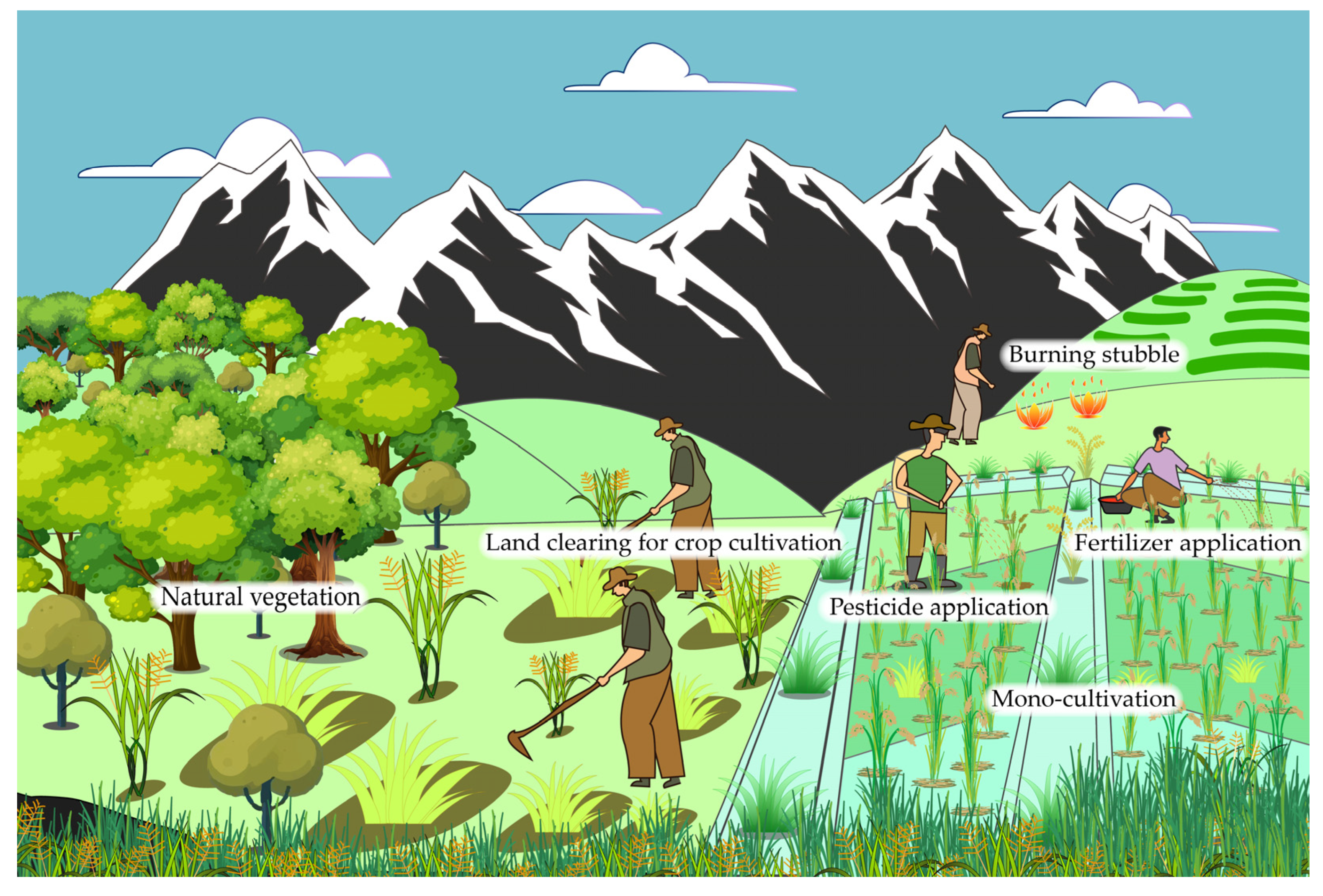 Jof 11 00025 g001 Jof 11 00025 g001