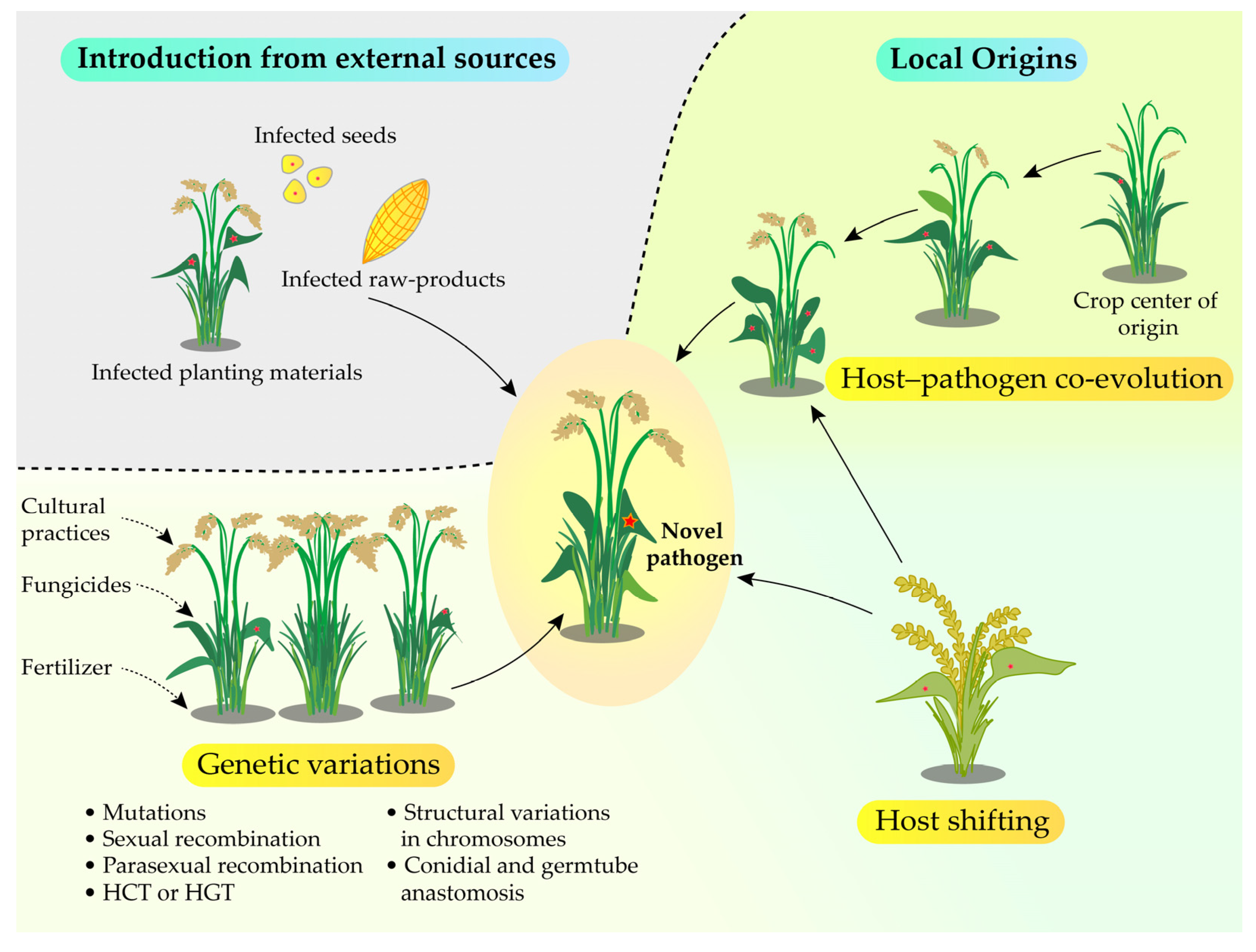Jof 11 00025 g002 Jof 11 00025 g002