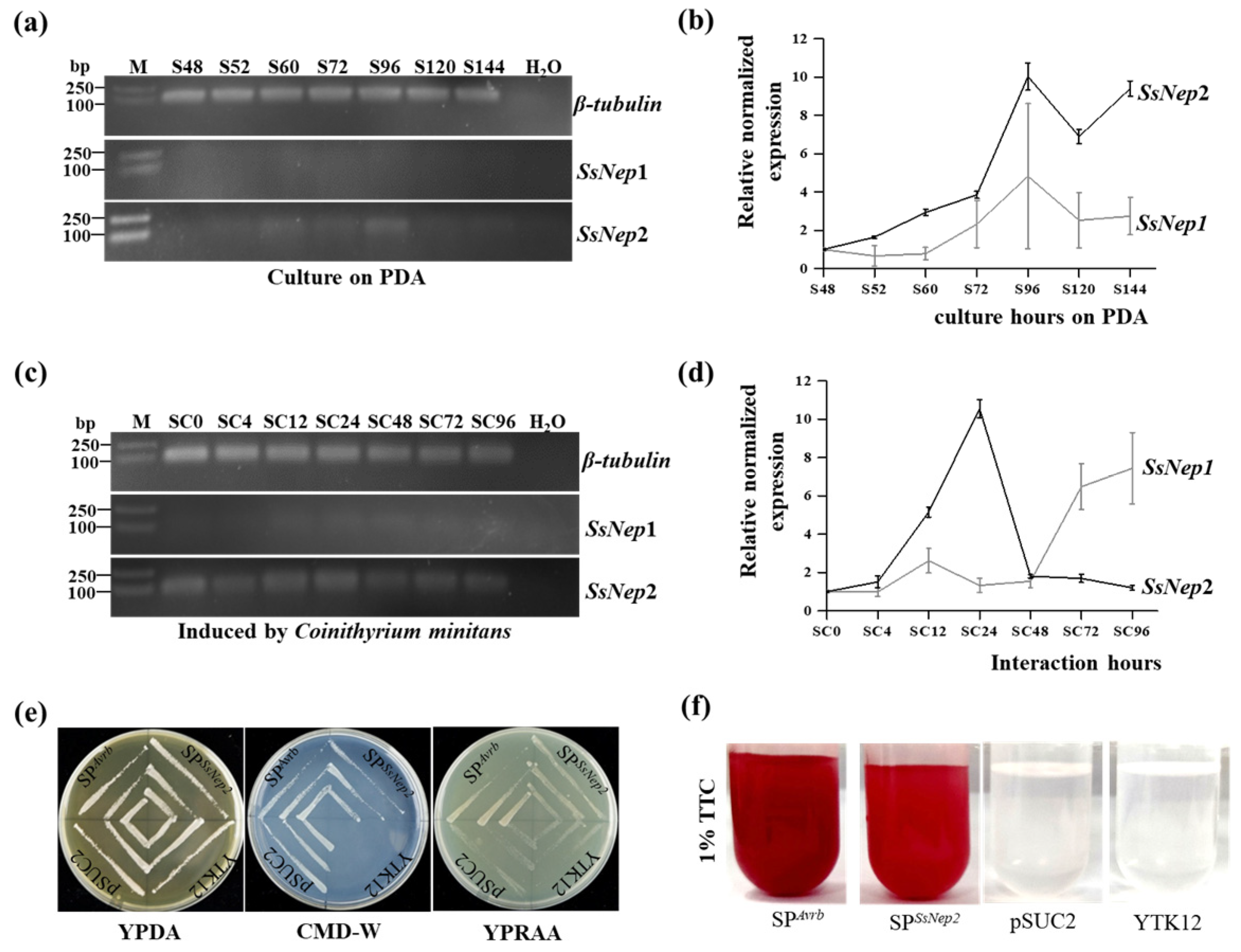 Jof 11 00151 g001 Jof 11 00151 g001