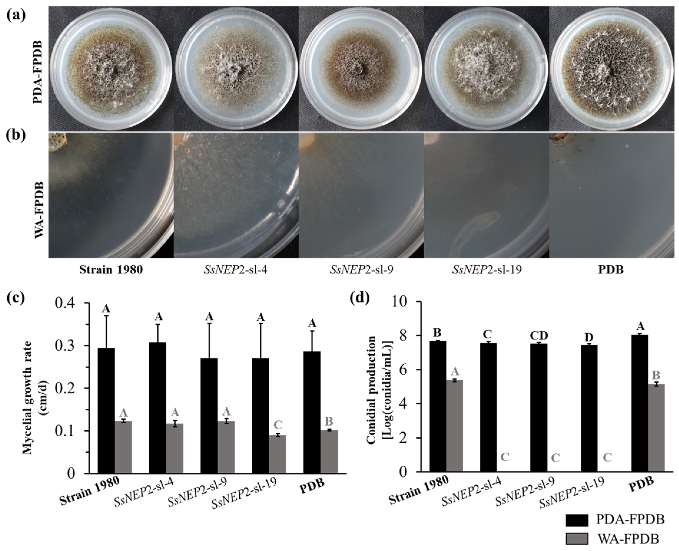 Jof 11 00151 g003 Jof 11 00151 g003