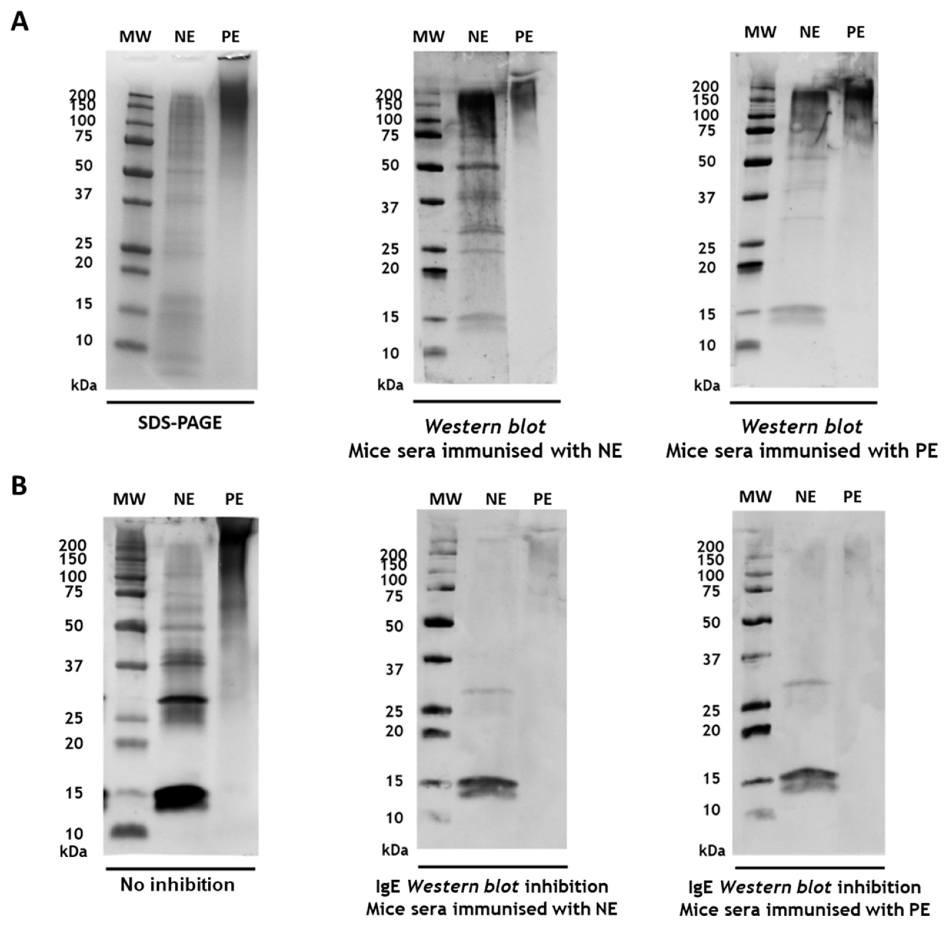 Jof 11 00181 g003 Jof 11 00181 g003