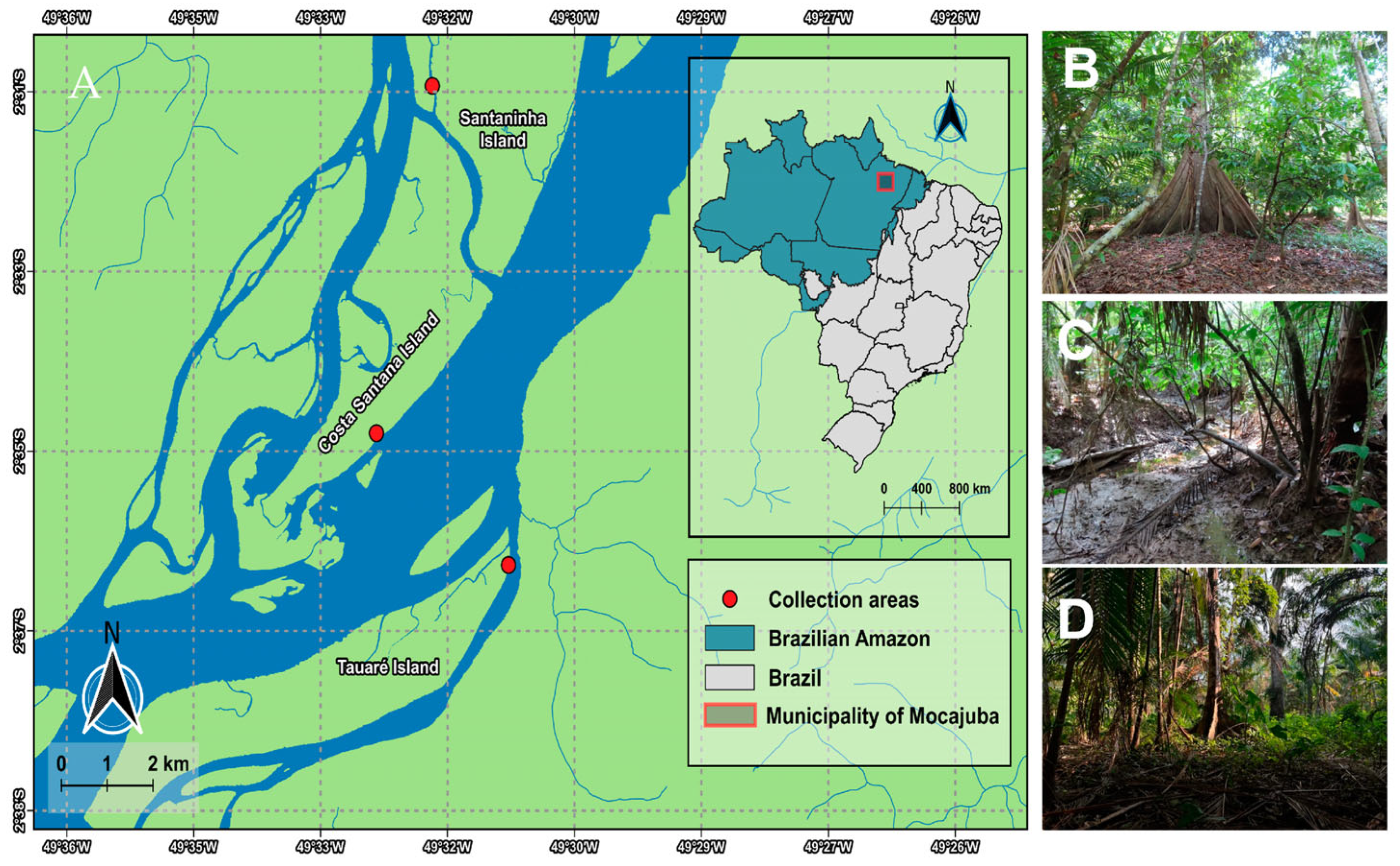 Jof 11 00288 g001 Jof 11 00288 g001