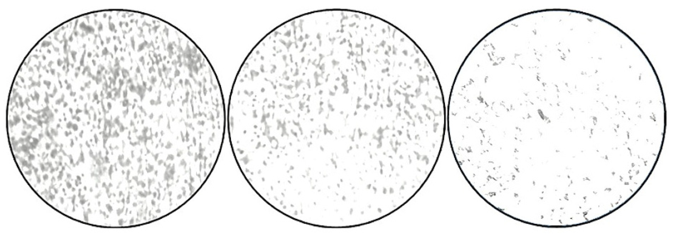 Jof 11 00304 g007 Jof 11 00304 g007
