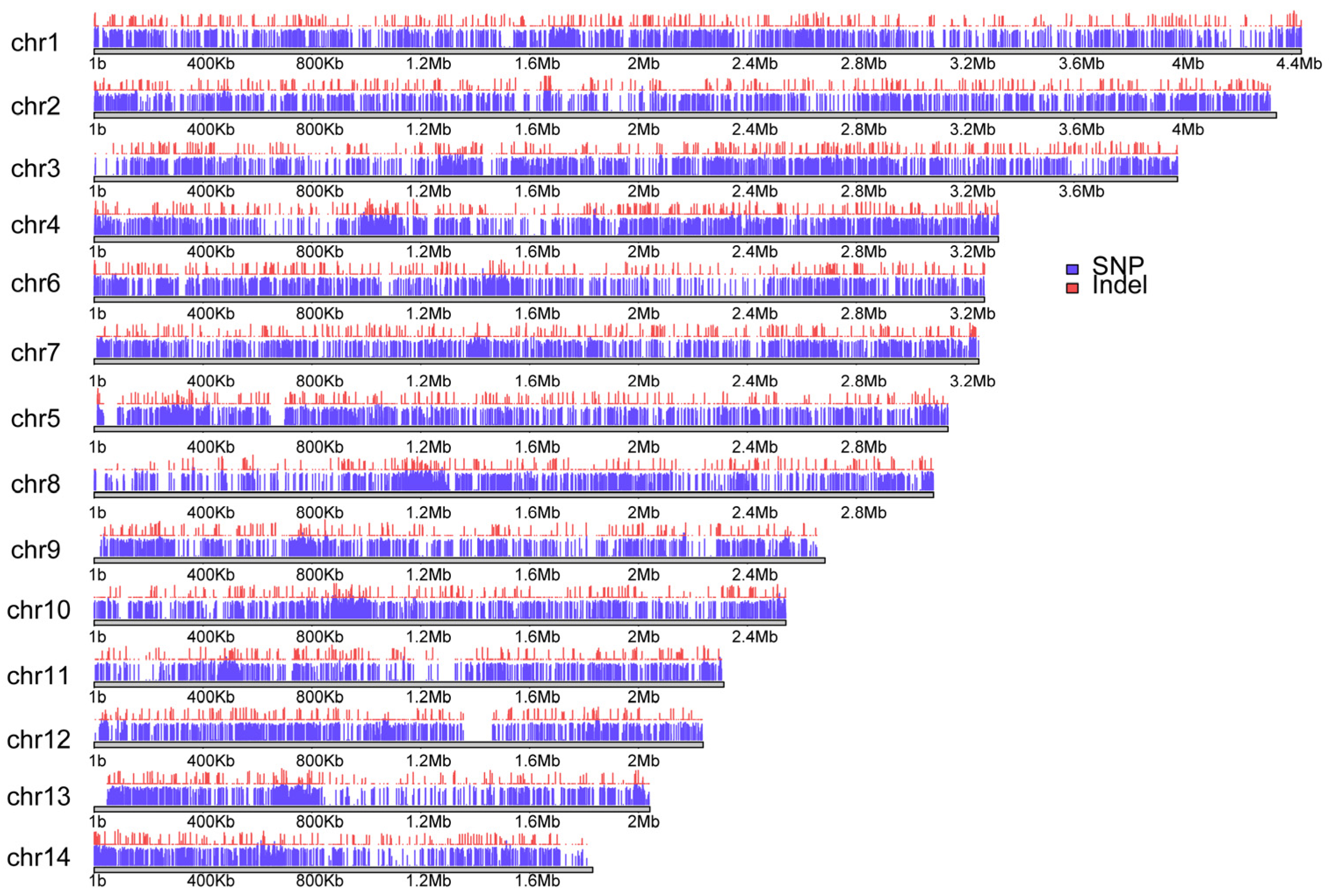 Jof 11 00399 g002 Jof 11 00399 g002