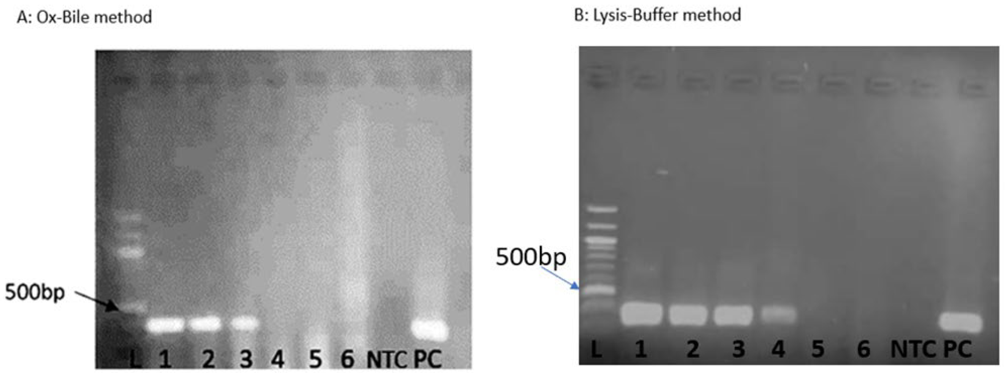Jof 11 00430 g003 Jof 11 00430 g003