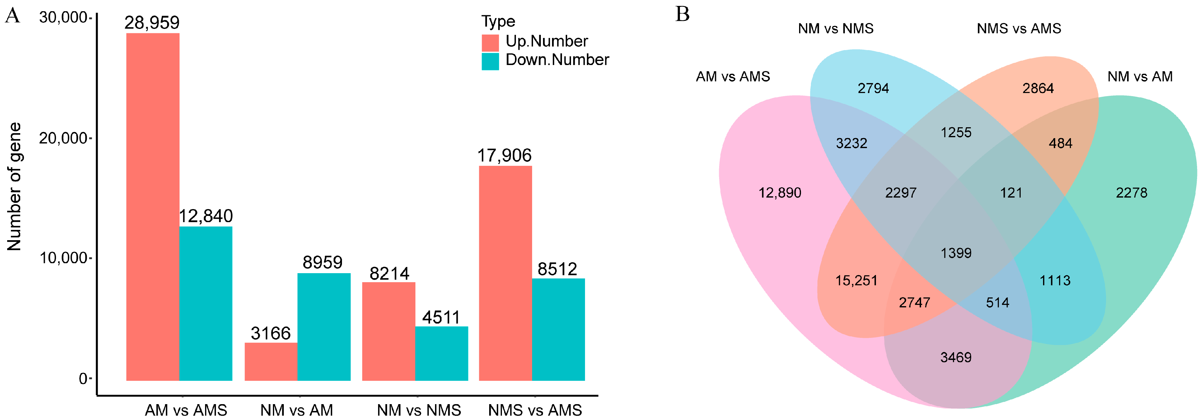 Jof 11 00587 g002 Jof 11 00587 g002