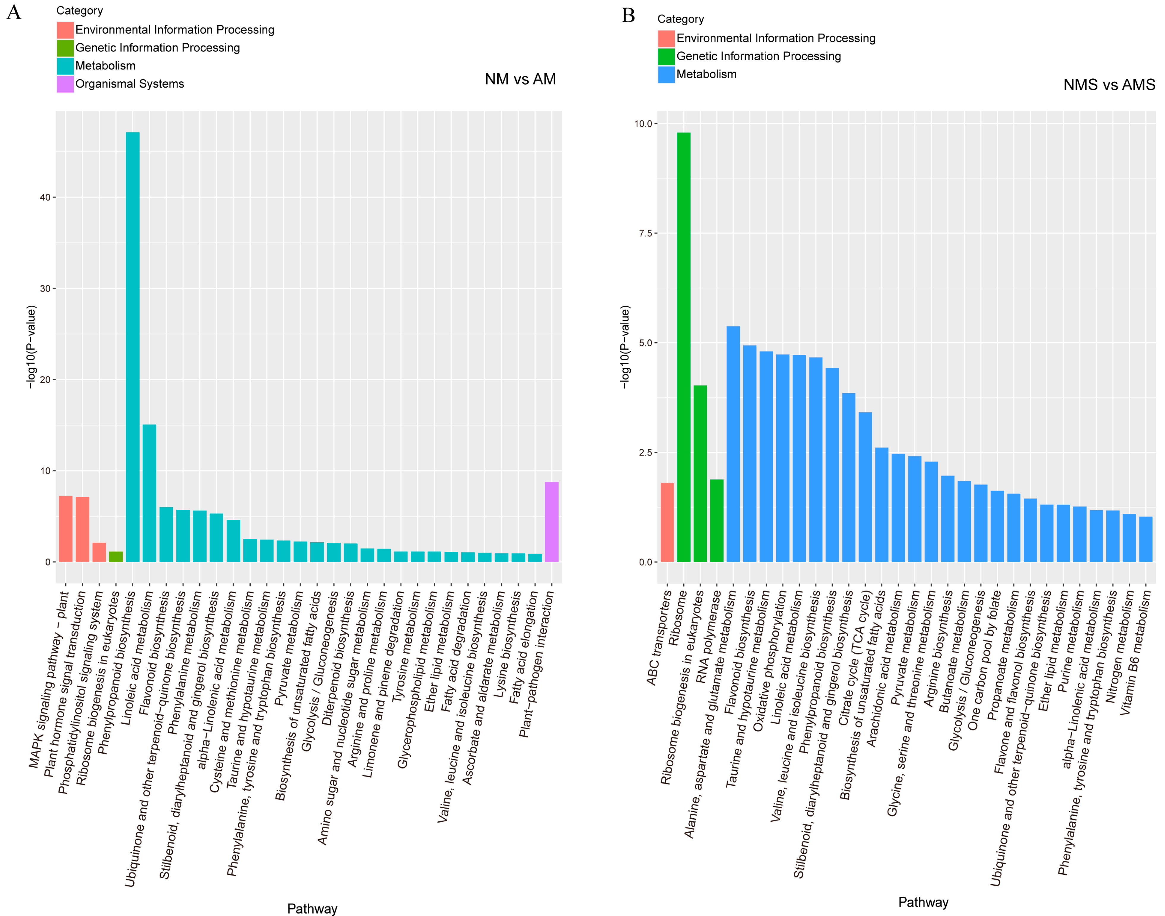 Jof 11 00587 g003 Jof 11 00587 g003