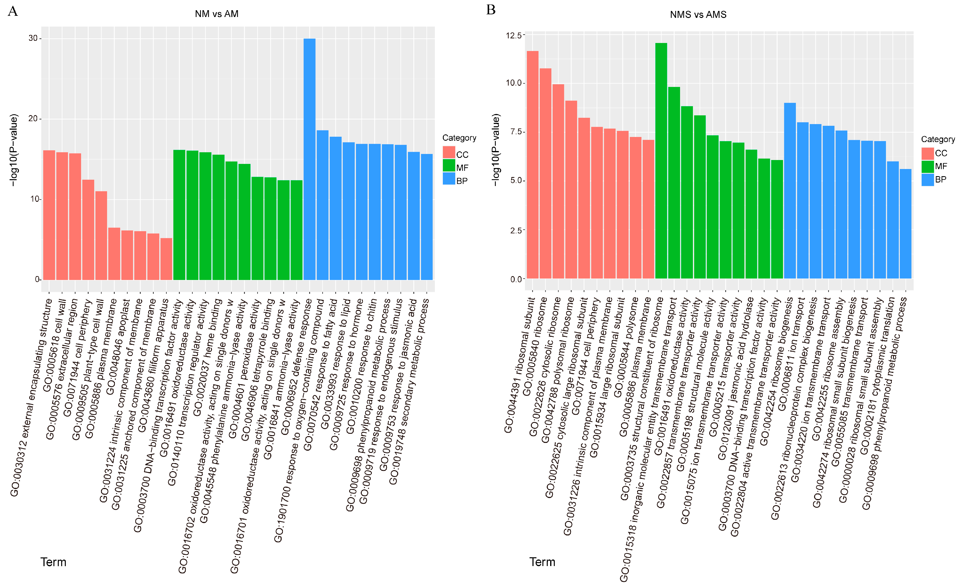 Jof 11 00587 g004 Jof 11 00587 g004