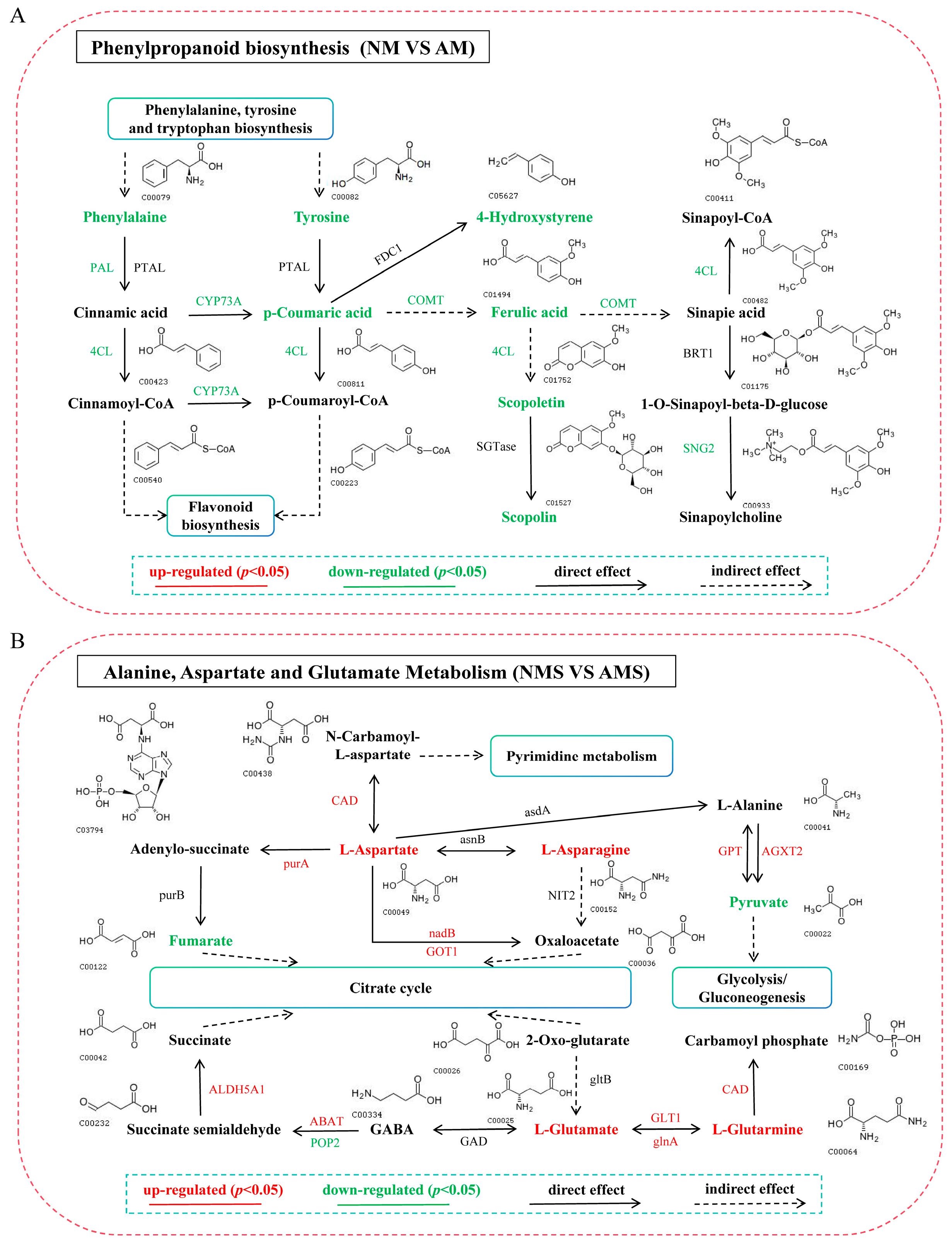 Jof 11 00587 g009 Jof 11 00587 g009