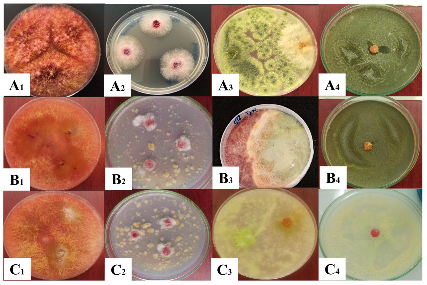 Jof 11 00588 g003 Jof 11 00588 g003