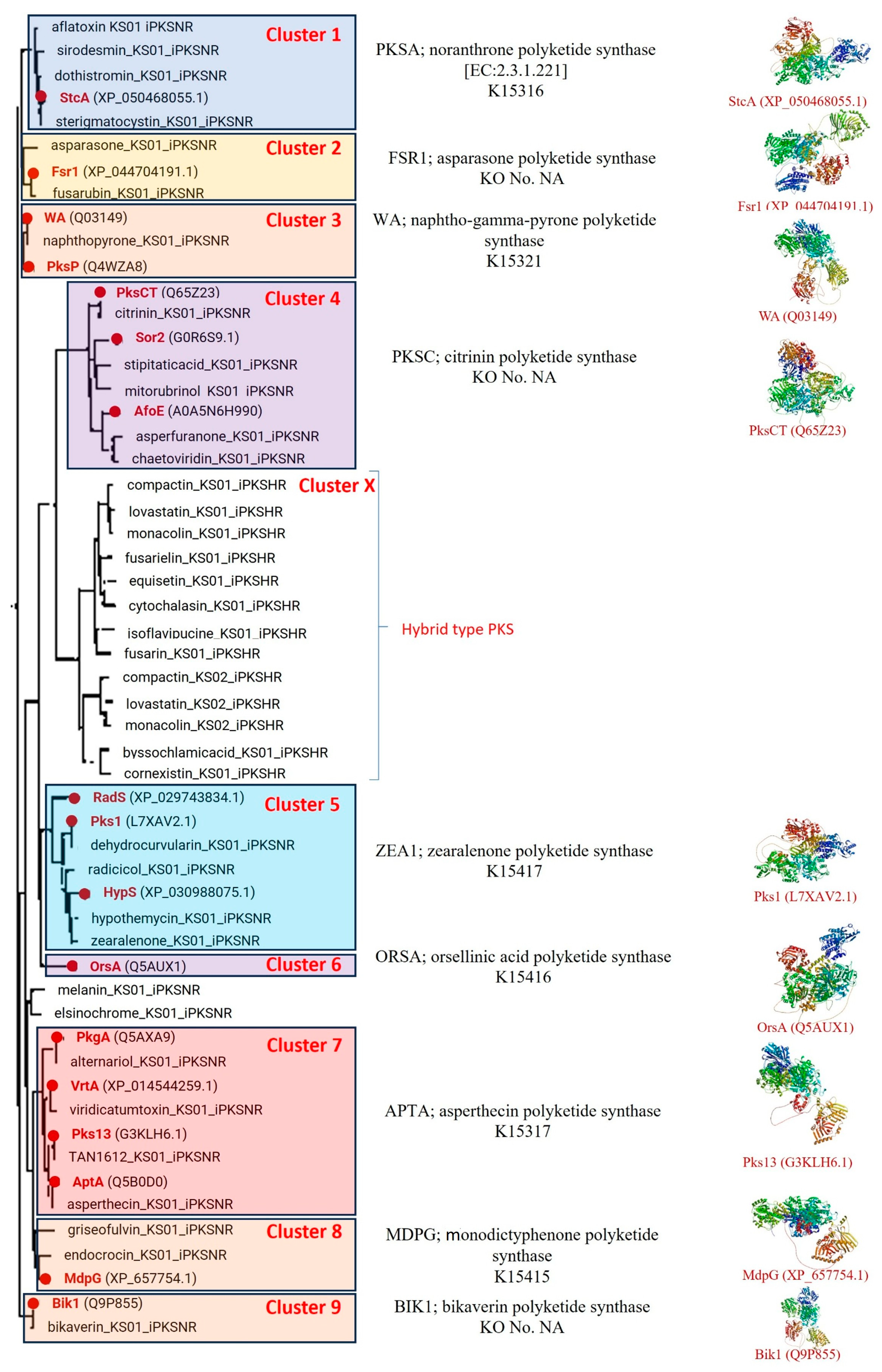 Jof 11 00641 g003 Jof 11 00641 g003